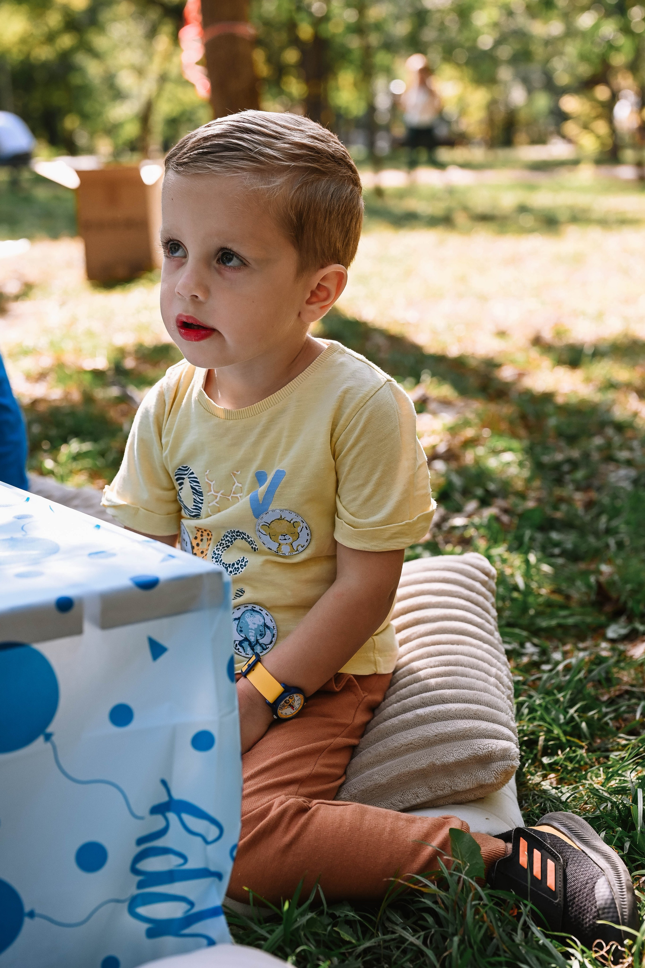 Novak 5. rođendan. Dečiji i porodični fotograf