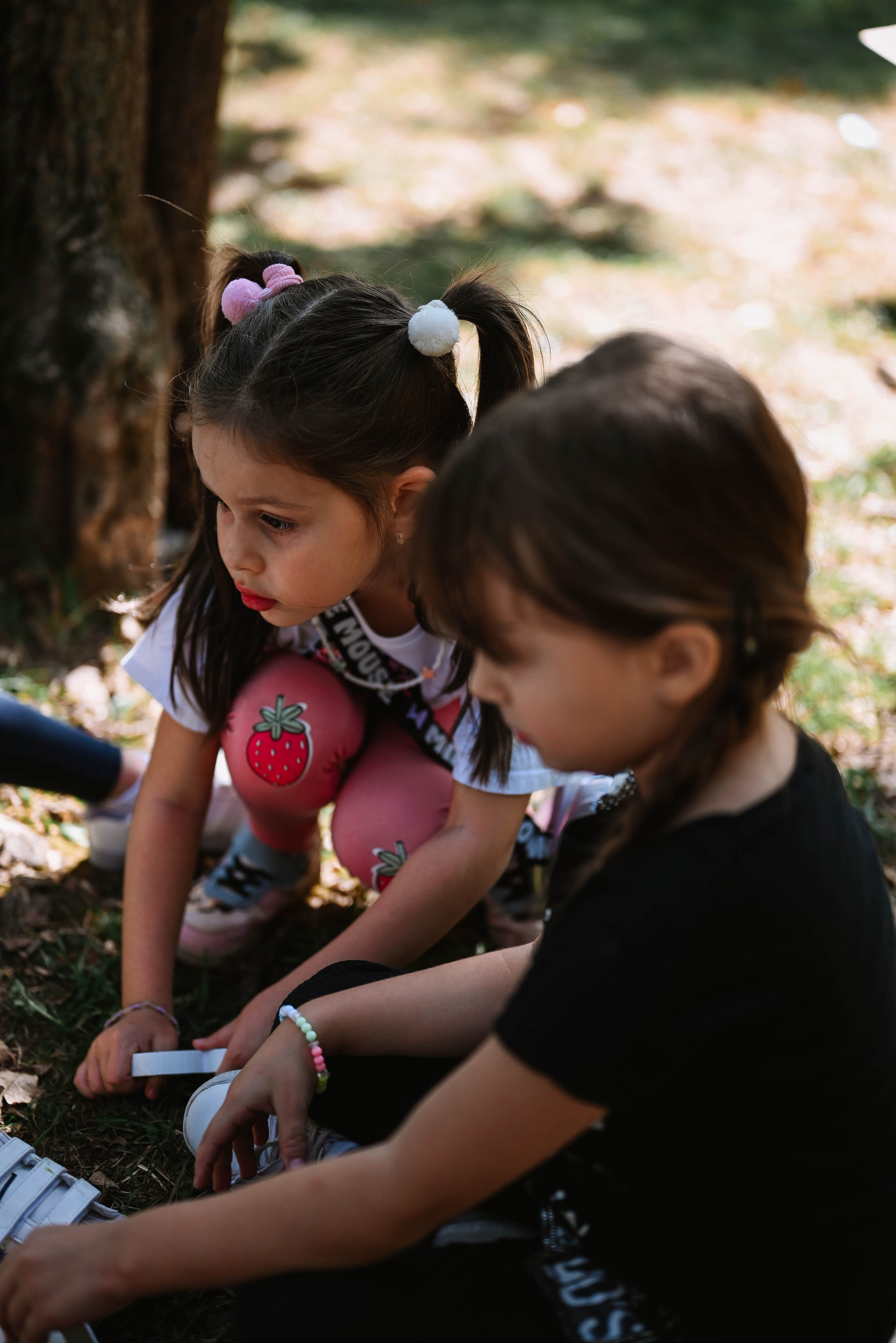 Novak 5. rođendan. Dečiji i porodični fotograf
