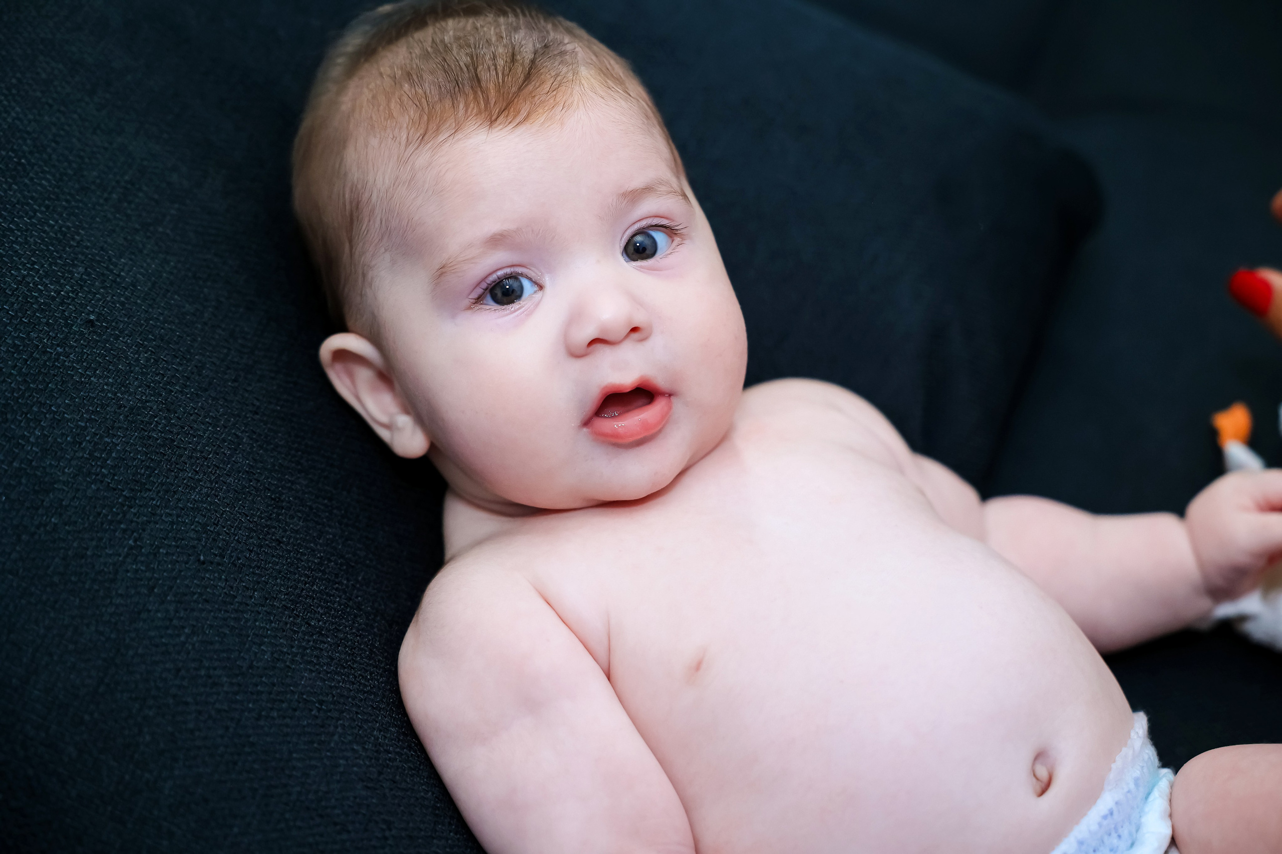 Andrei Damian. Moments By Gub