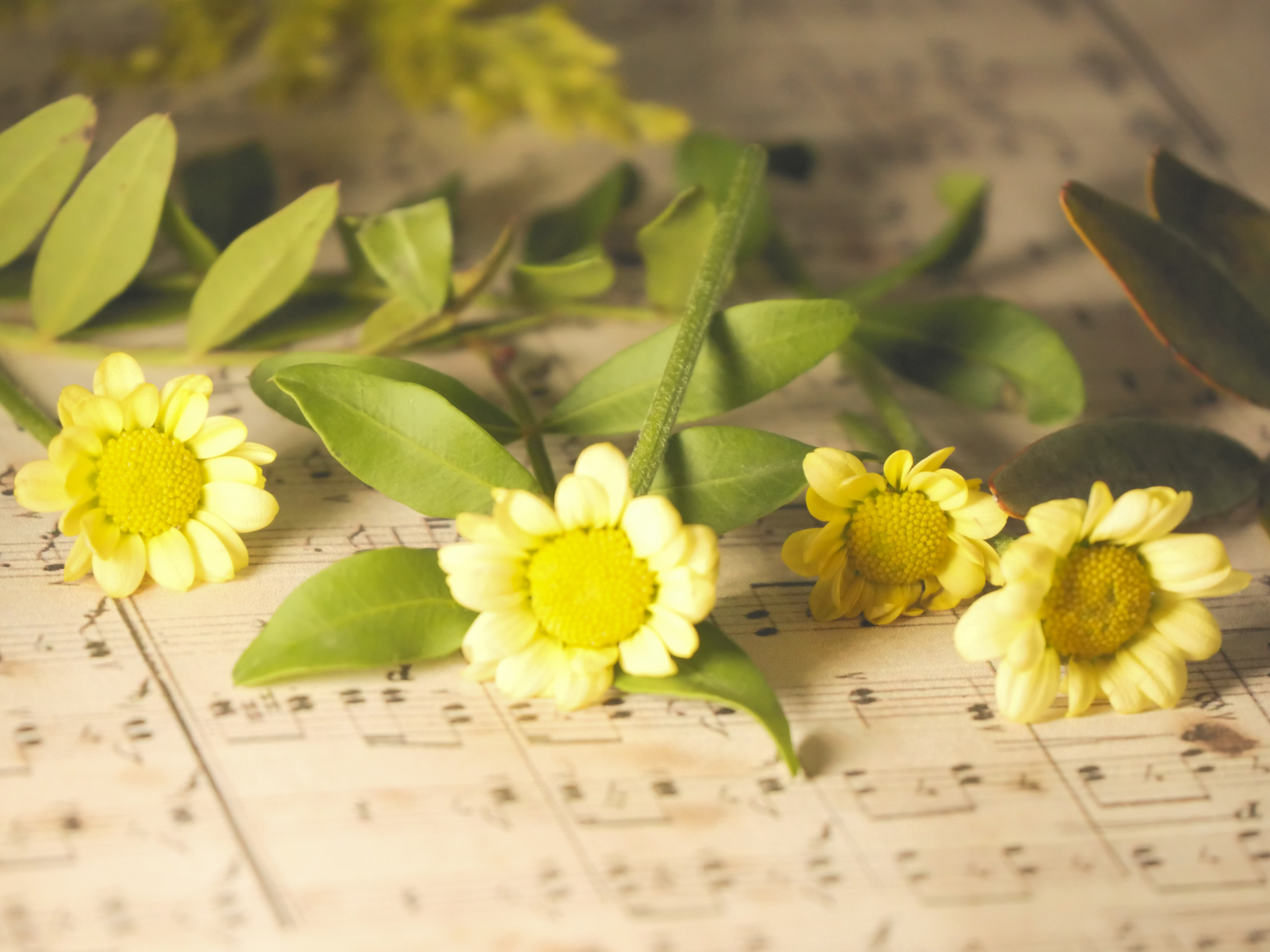 Portfolio. Photographer in Sotenäs municipality. Fotograf i Sotenäs kommun