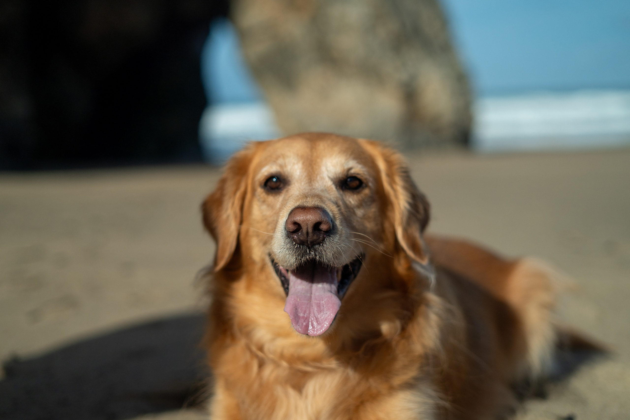 Ensaio Praia — Rafaela e César. Frames by Giovani Braga
