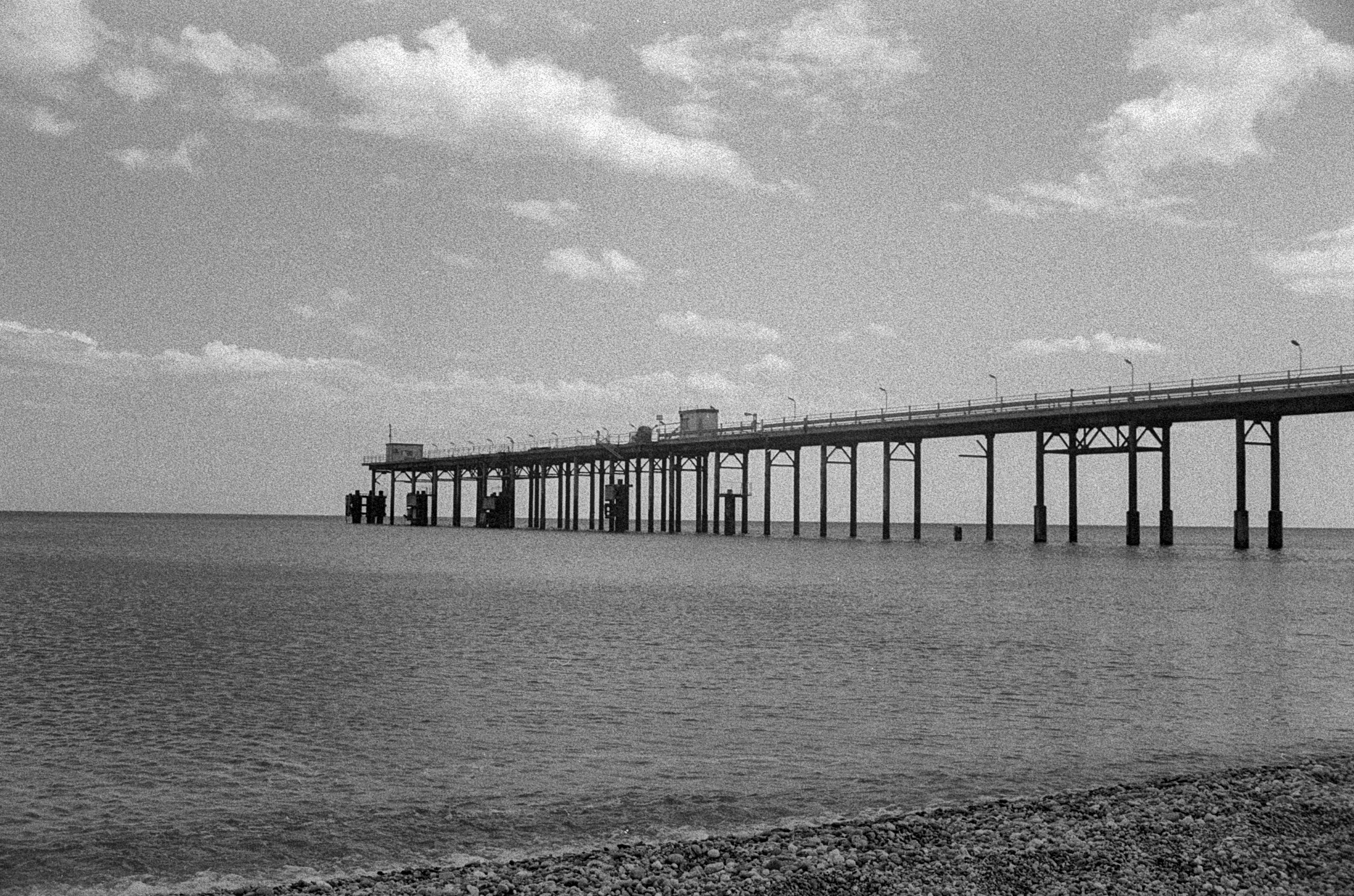 Analogica. Frank Prochilo Photography