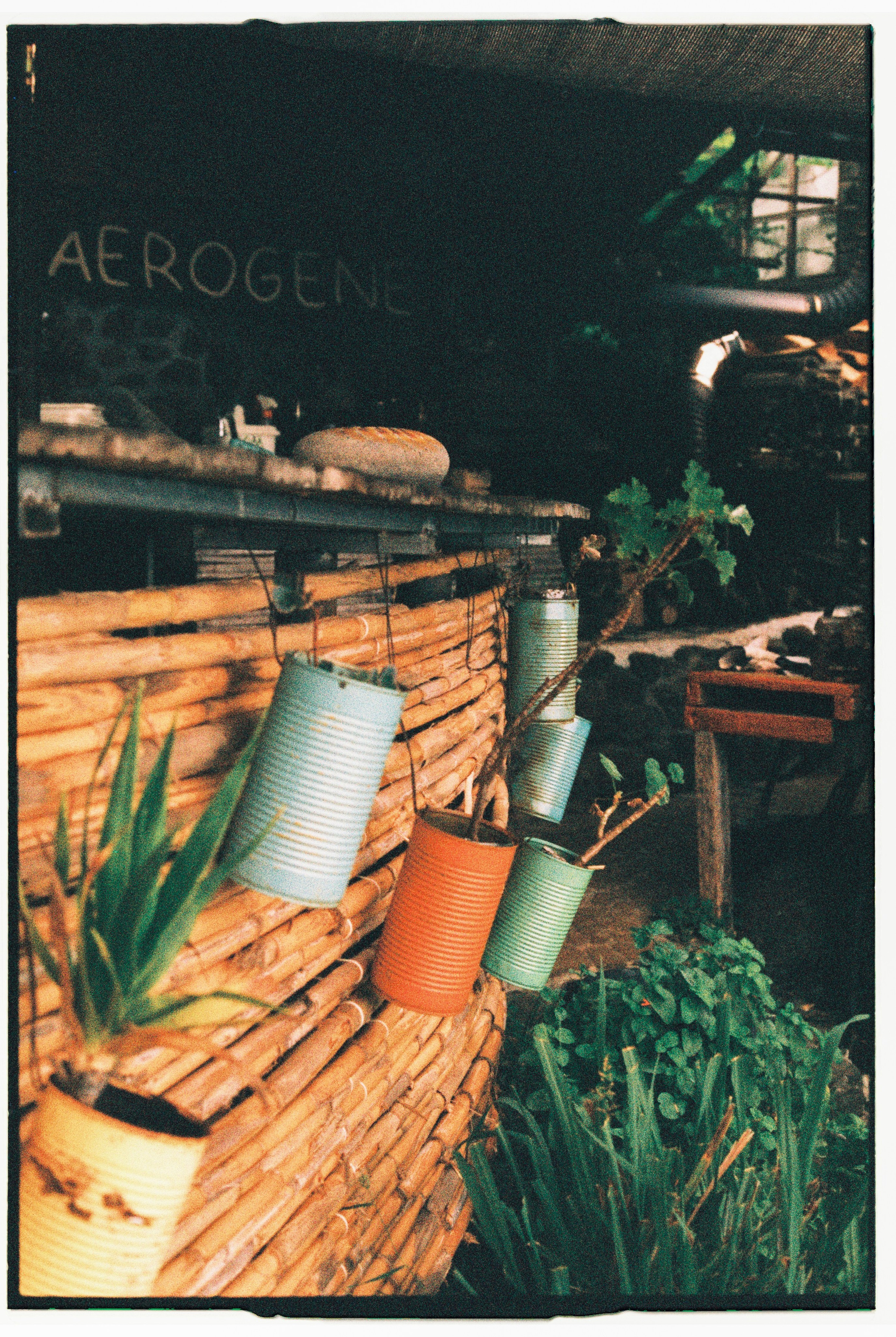 Madeira on film. Portrait photographer in Madeira — Marina Shtukina