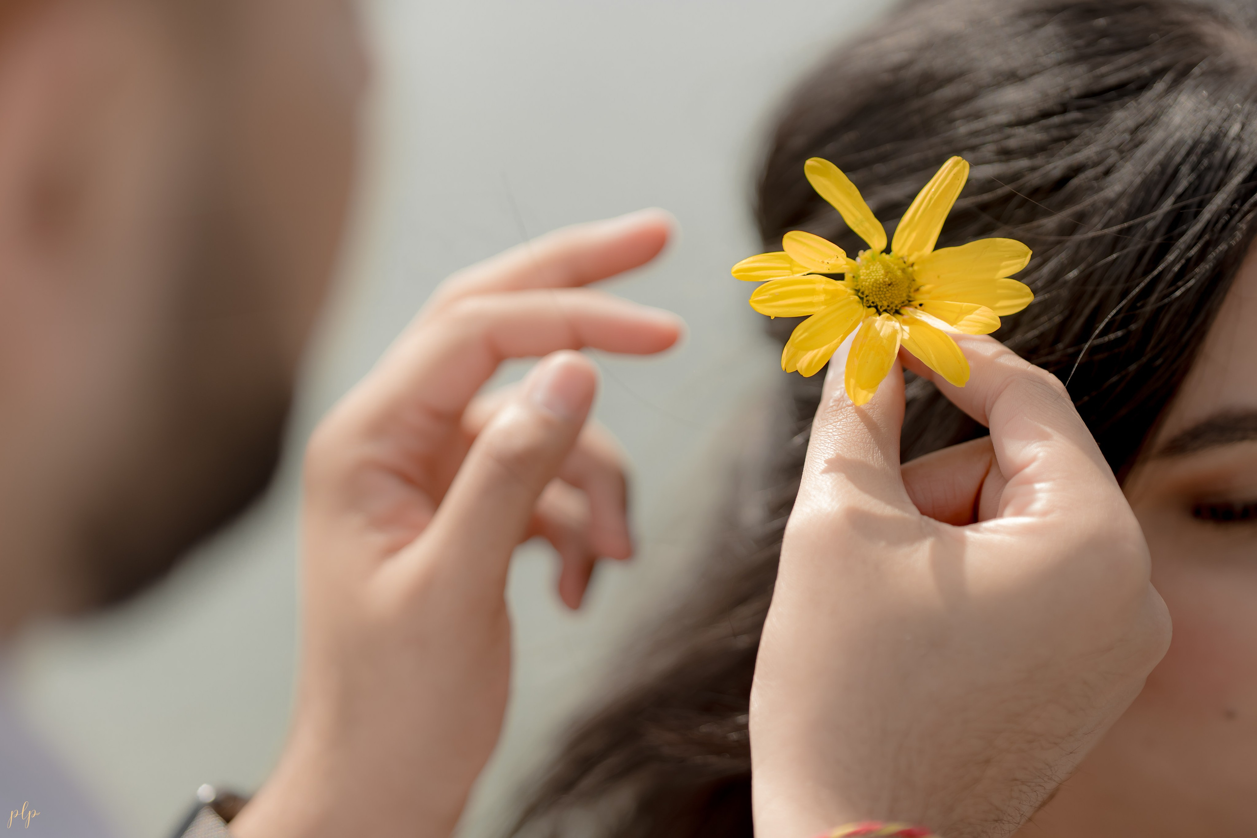 Dhairya and Krupali. Wedding Photographers and Filmmakers