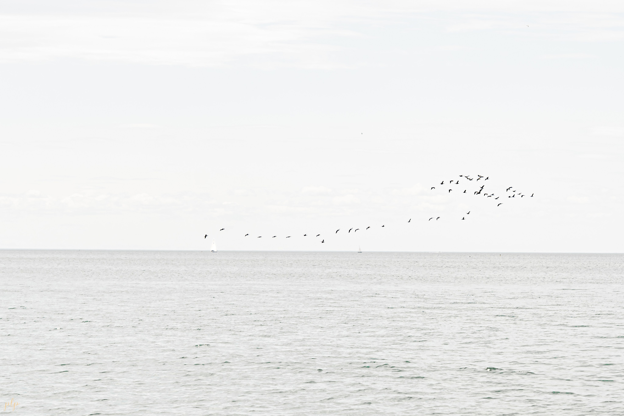 Dhairya and Krupali. Wedding Photographers and Filmmakers