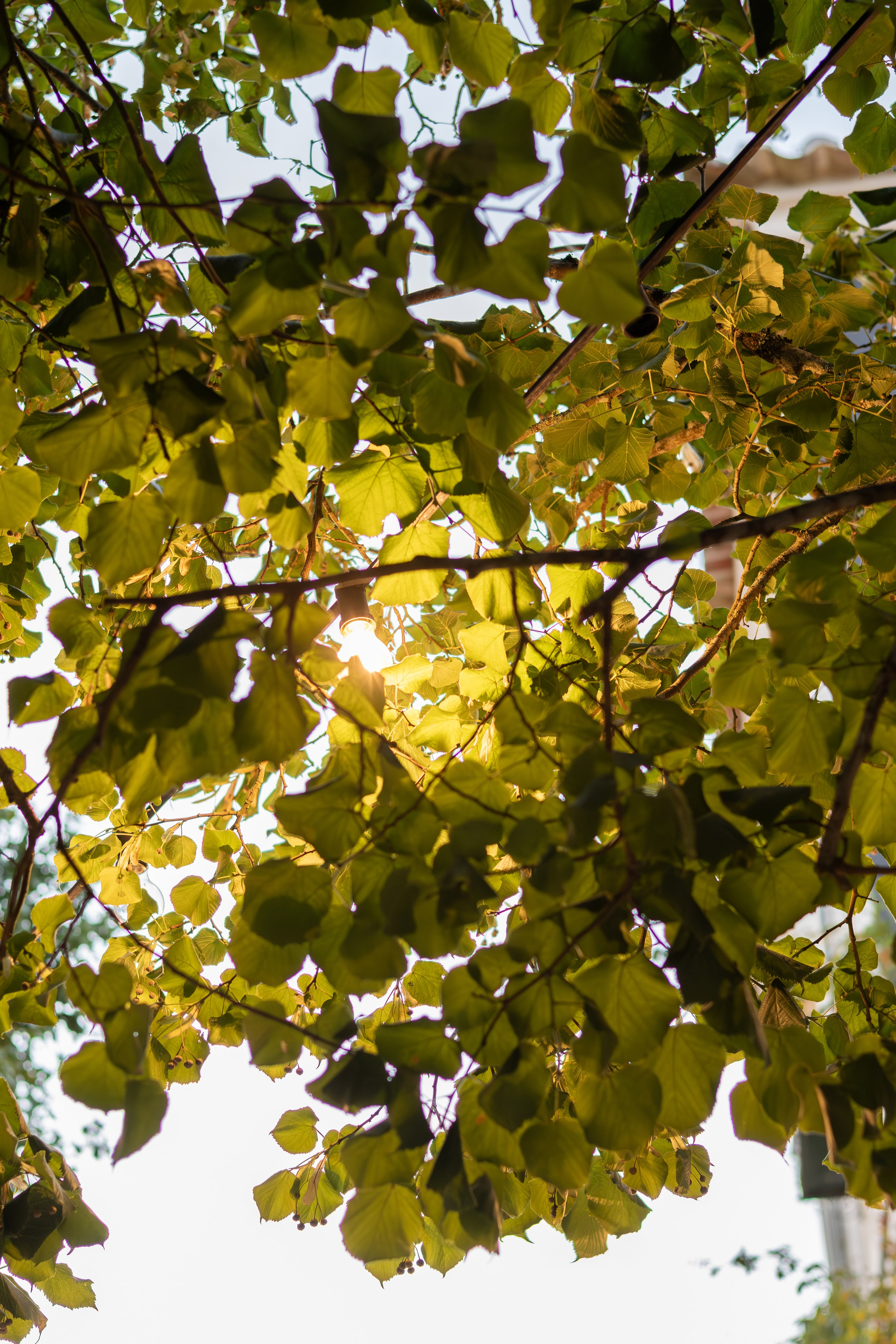 Fotografia de Casamentos – Paulo Marques Photography. Paulo Marques Photography