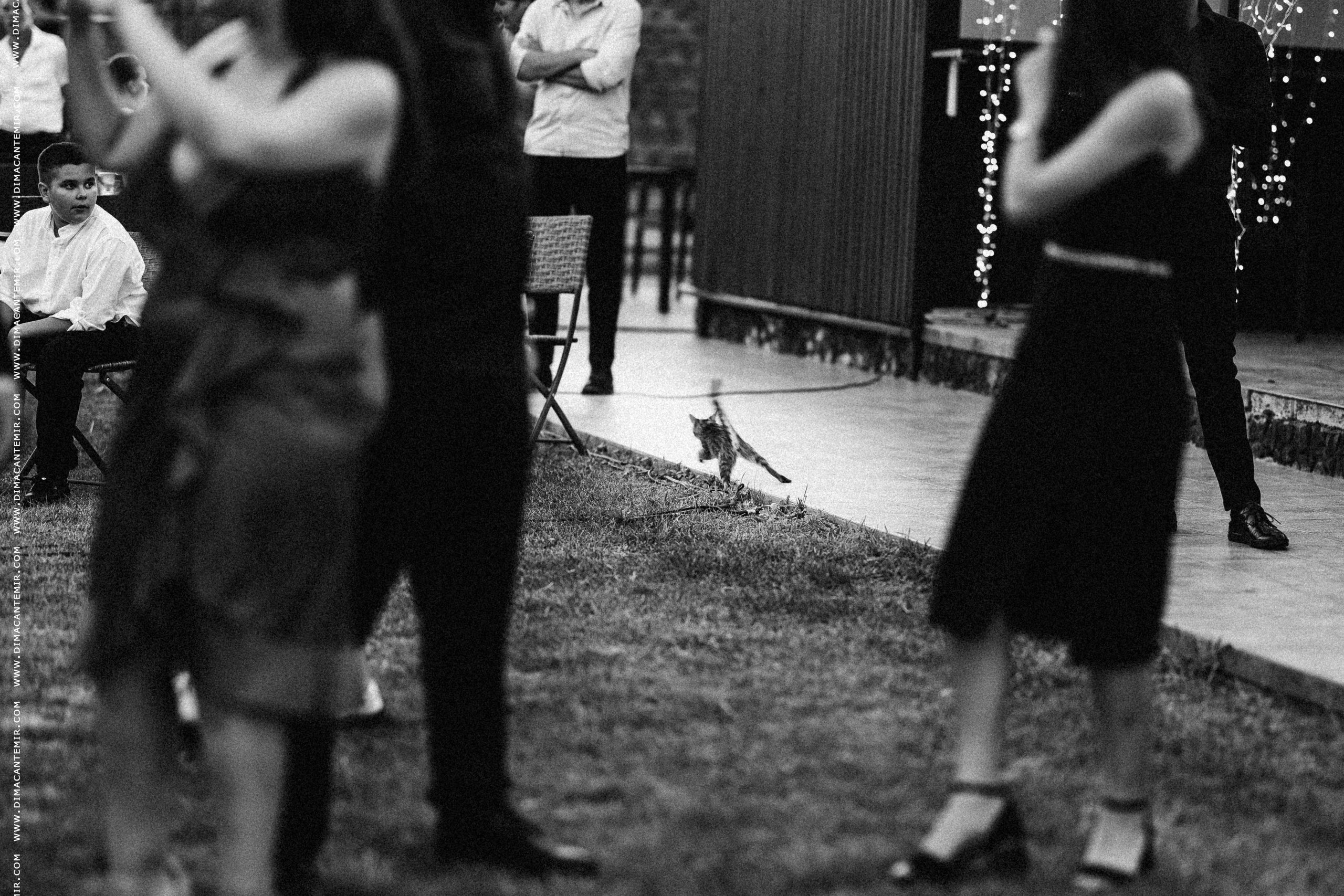 CRISTI + IRAIDA. Fotograf de nuntă în Chisinau, Moldova. Poze și Video Comerciale