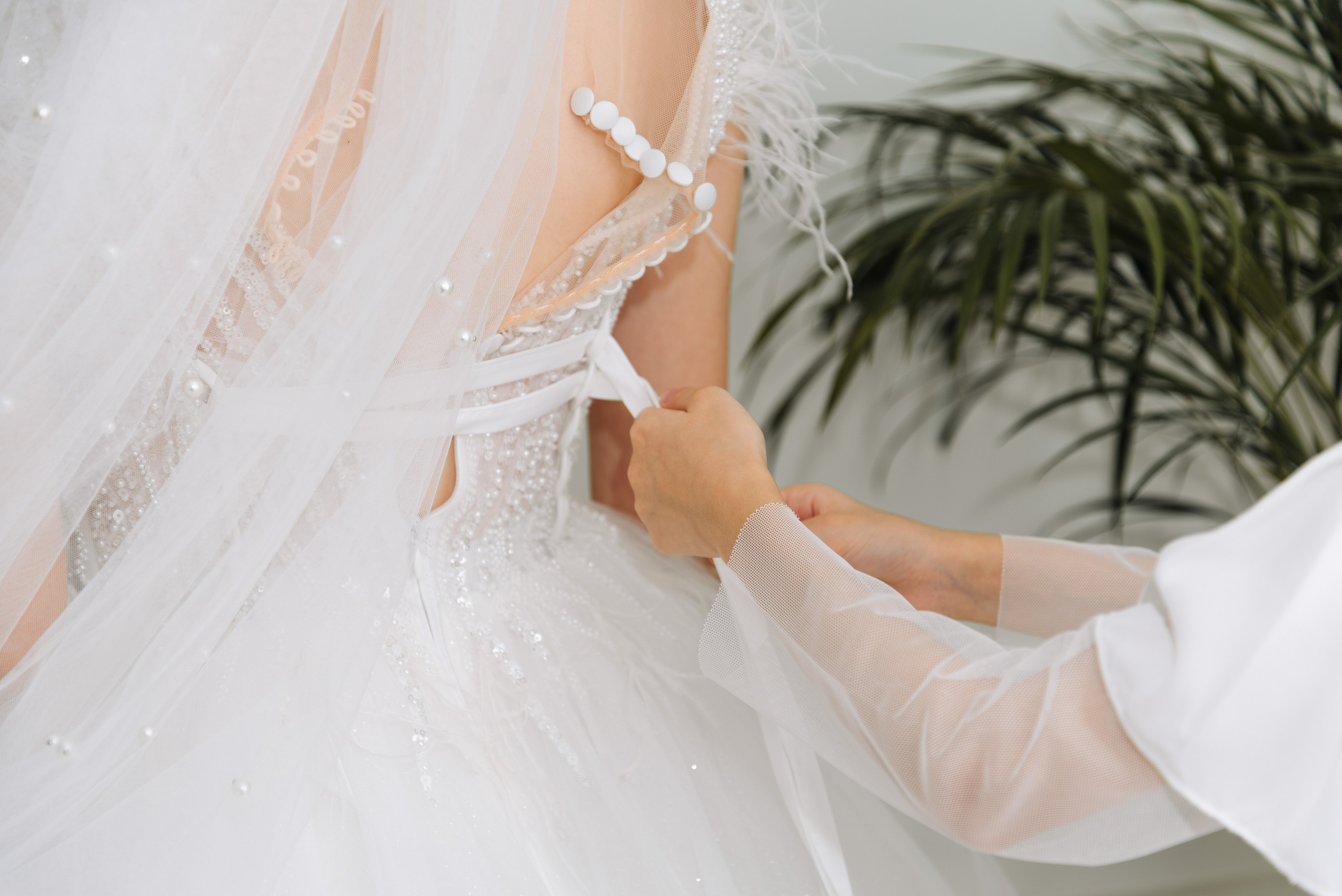 Ion&Mădălina. Petru Chilian — Fotograf nuntă / eveniment MD/RO