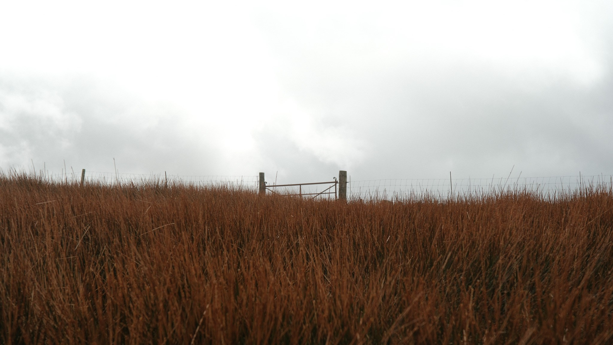 Wales Road Trip 2026. Callum Ecobichon