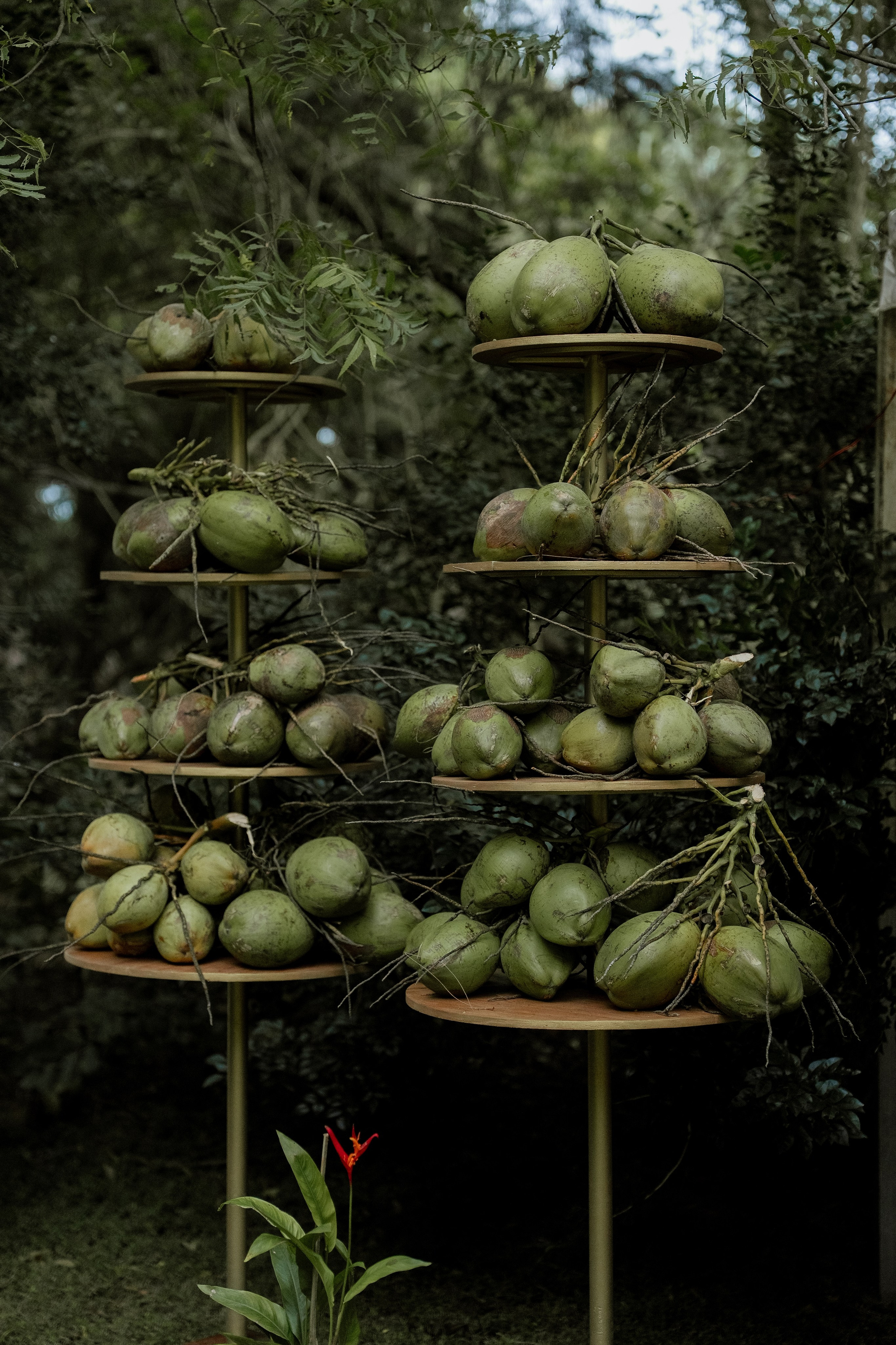 Beach Shaadi! Ft. Aishwarya & Milan. Fine art Wedding Photographers in India & Canada