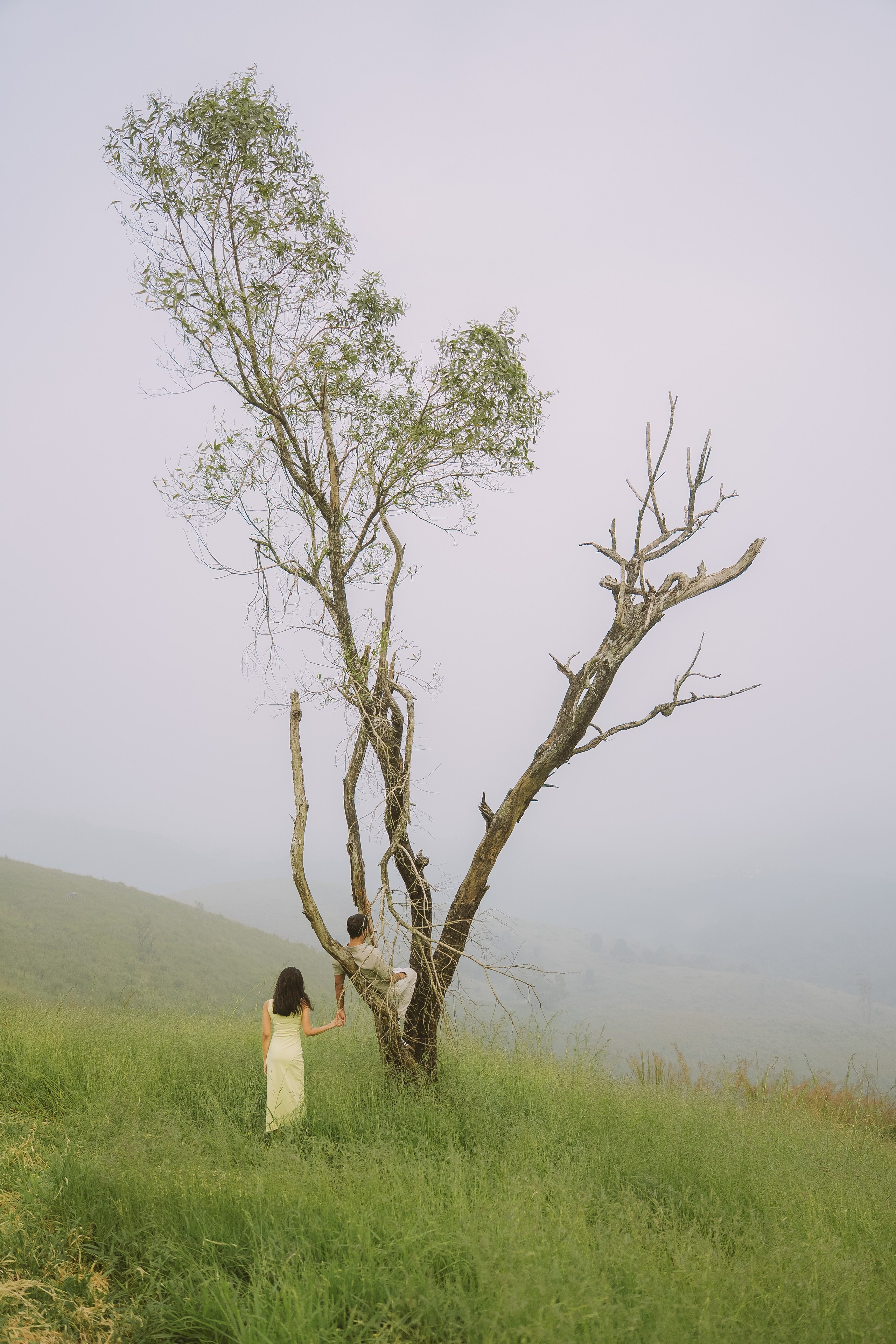 Valley of Love!. Fine art Wedding Photographers in India & Canada