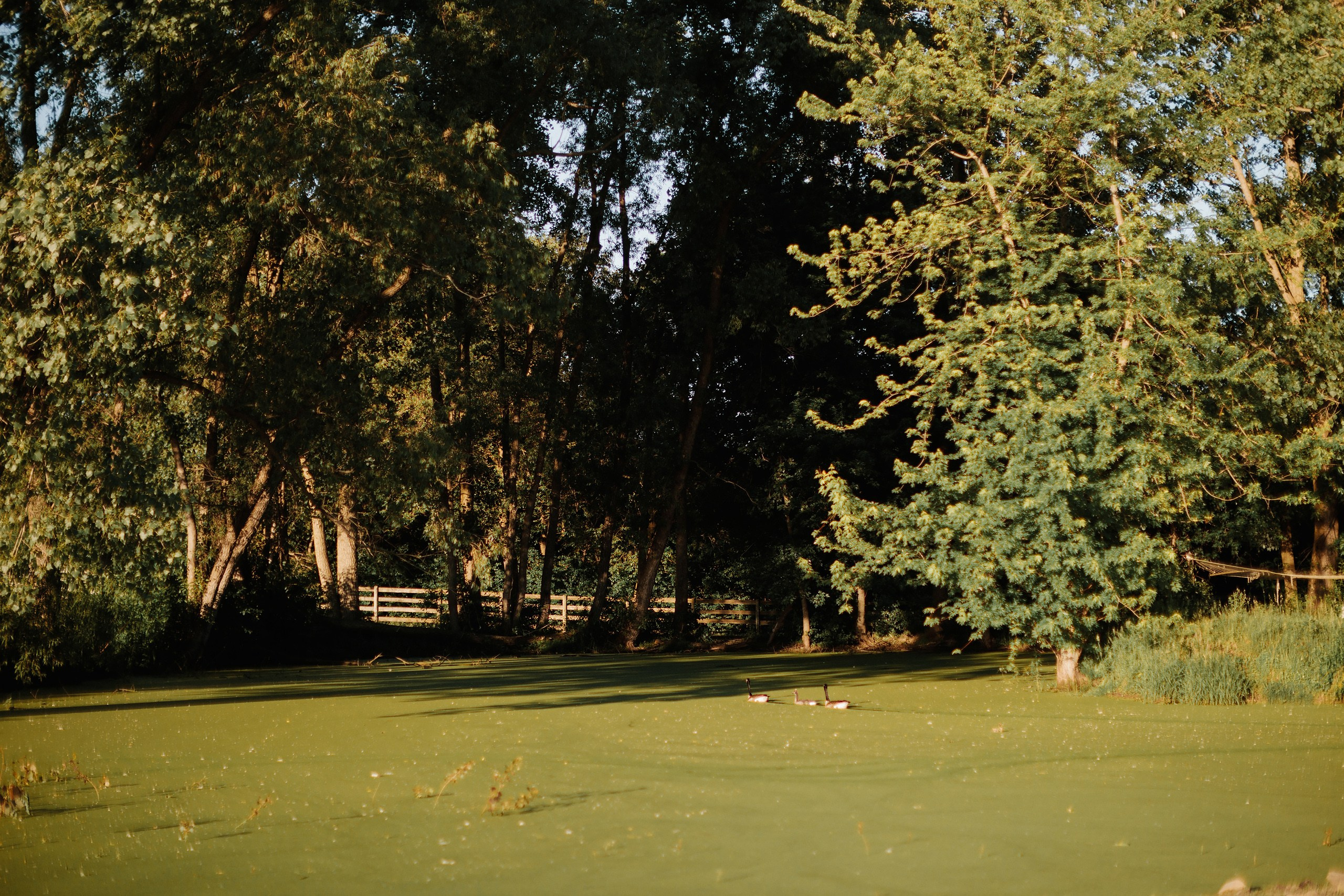 30.05.24 Family Photoshoot. Wedding family event photographer in Chicago Nick Yushevich