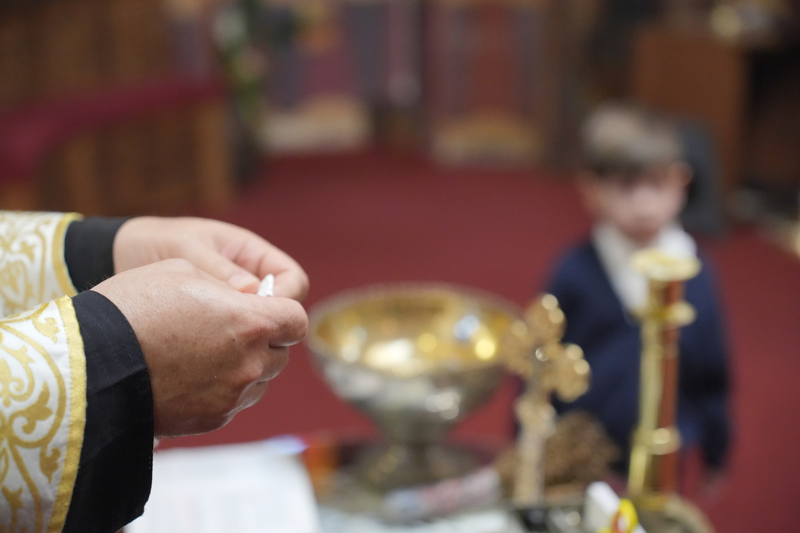 Dimitrije. Marko Superio | Wedding & Portrait Photographer