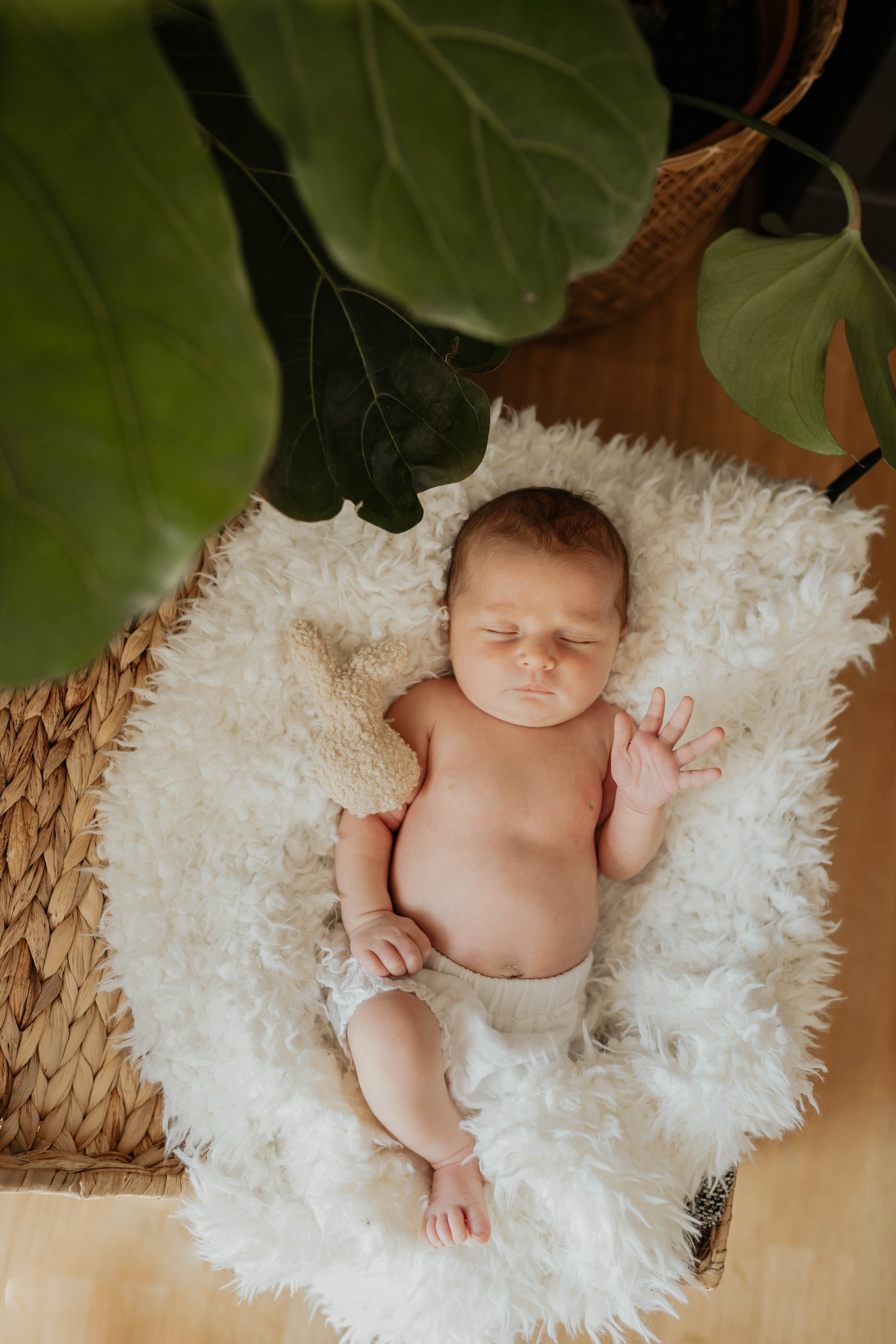 Newborn. Familien- und Kinderfotografin Katerina Vlasenko, München