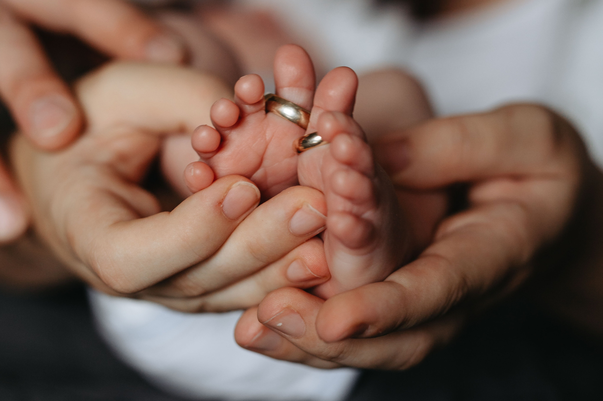 Pierwsza sesja Franka