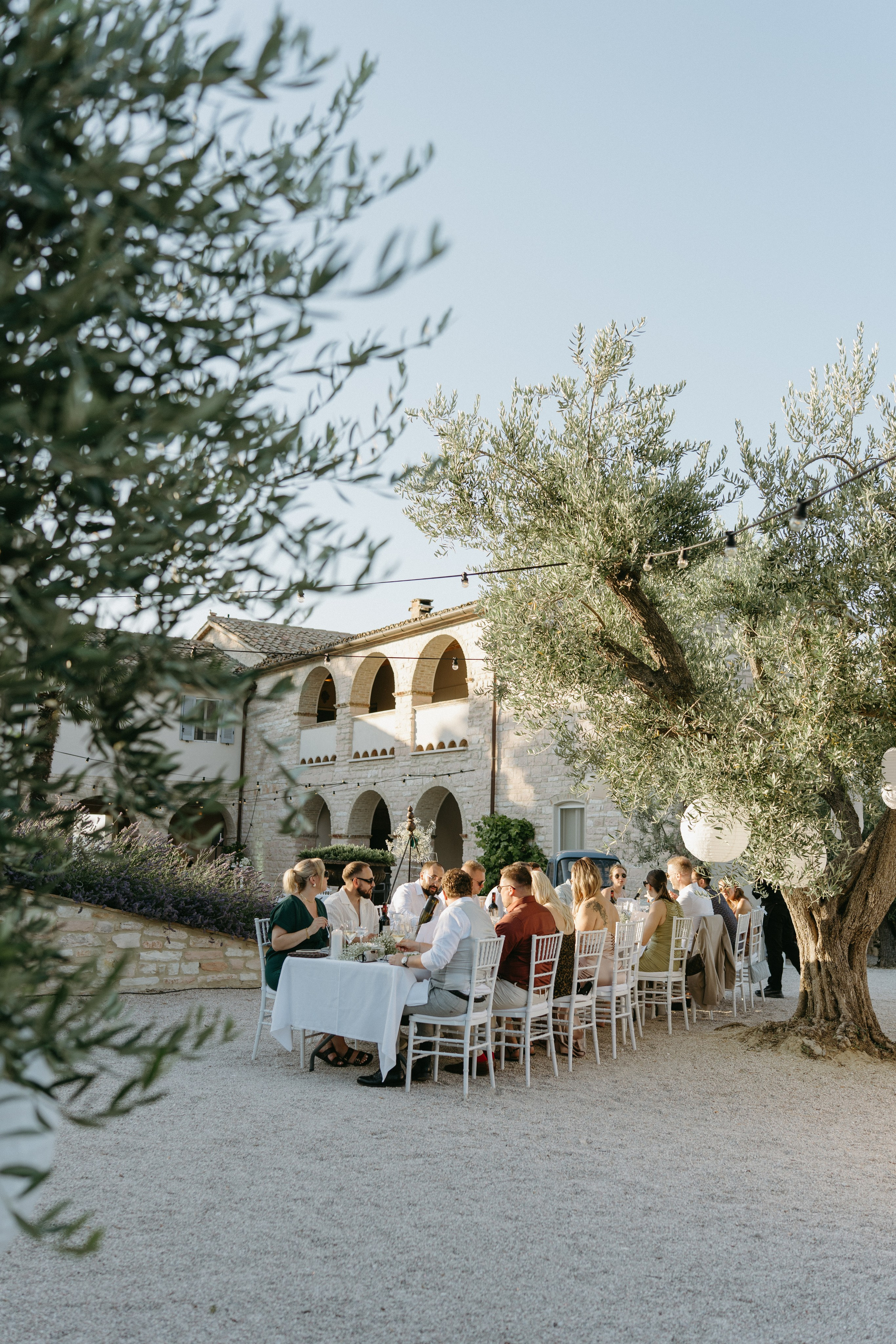 Sofia&Falk. Весільний фотограф Вікторія Саврук