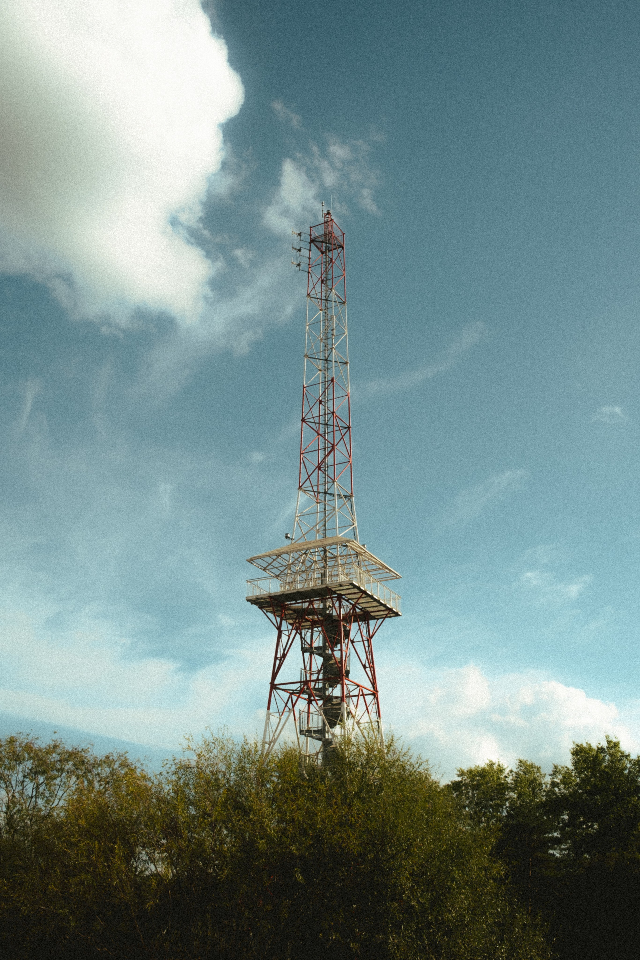 Roaming. Mike Avelli