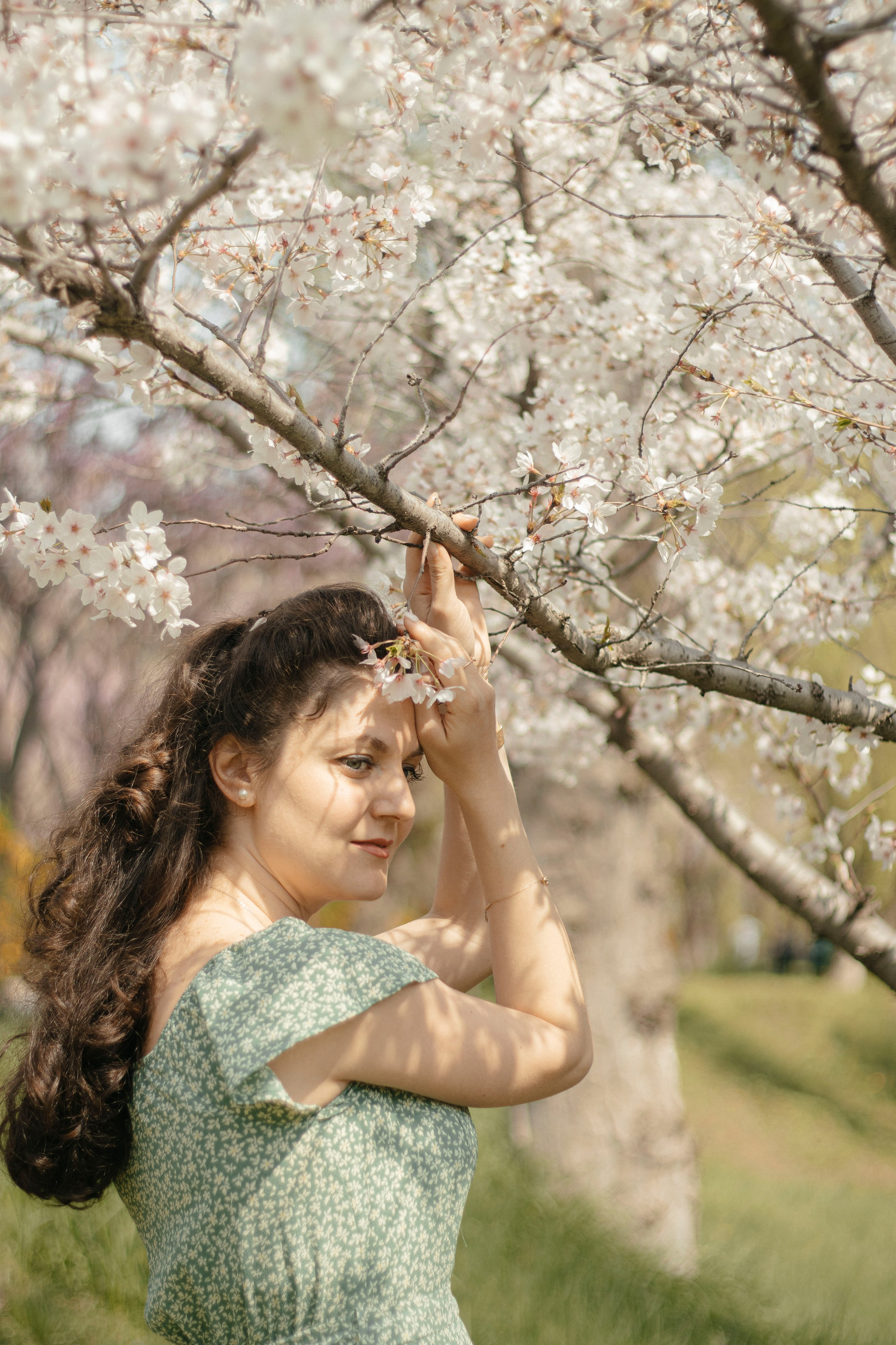 Асмик. Фотограф в Ташкенте, Аксенова Дарья
