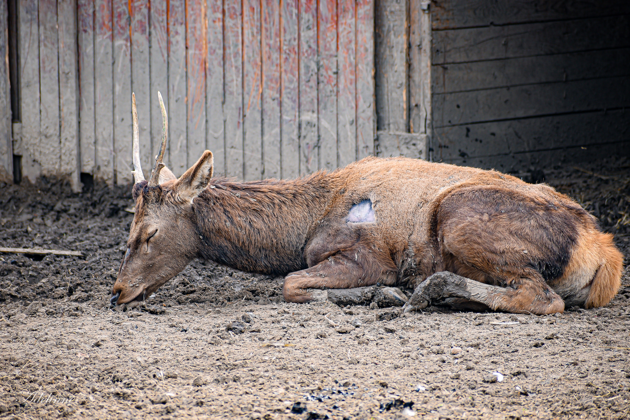 Nature❤️. Adelinne