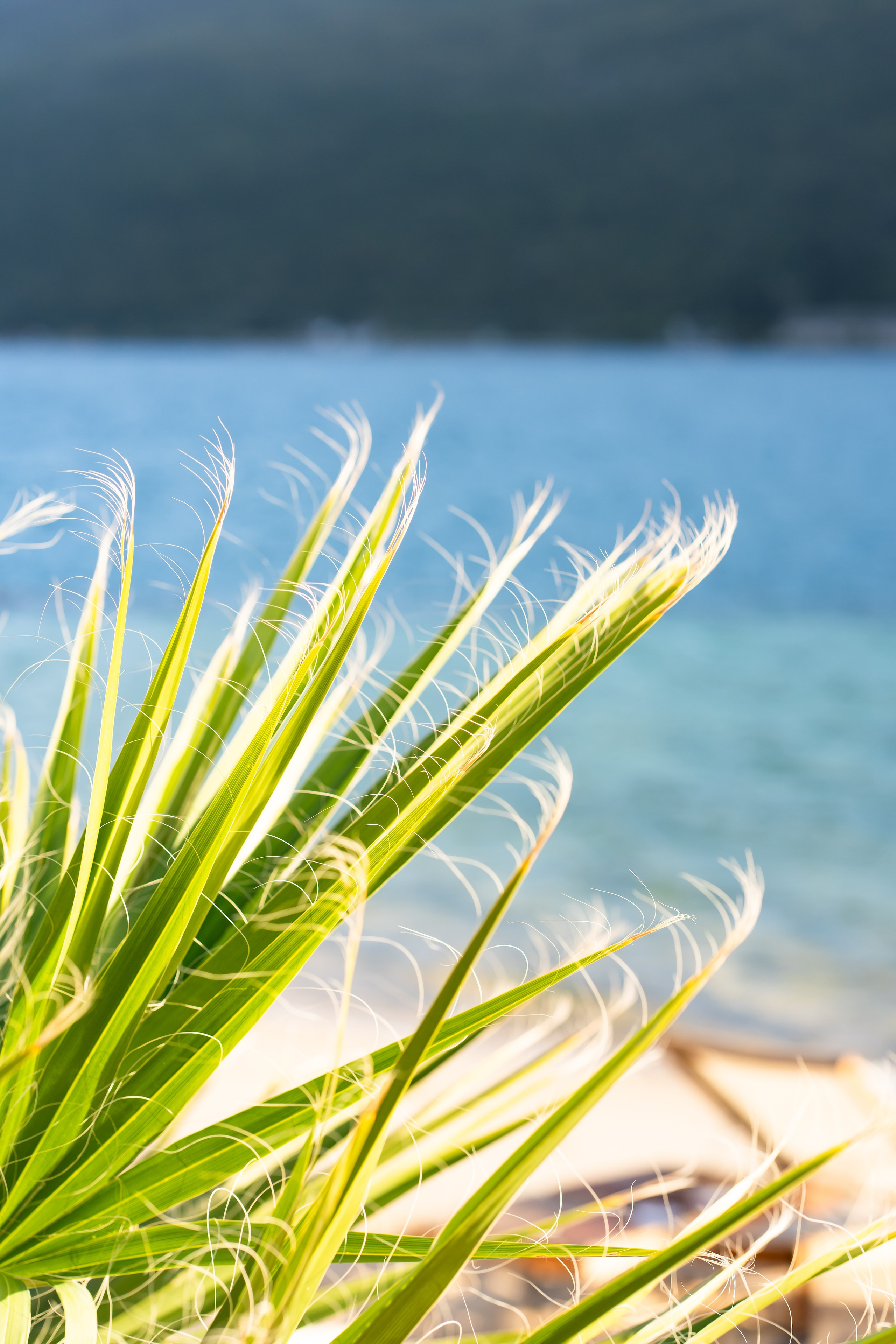 HOTEL / APARTMENTS / SPA. Montenegro photographer and videographer