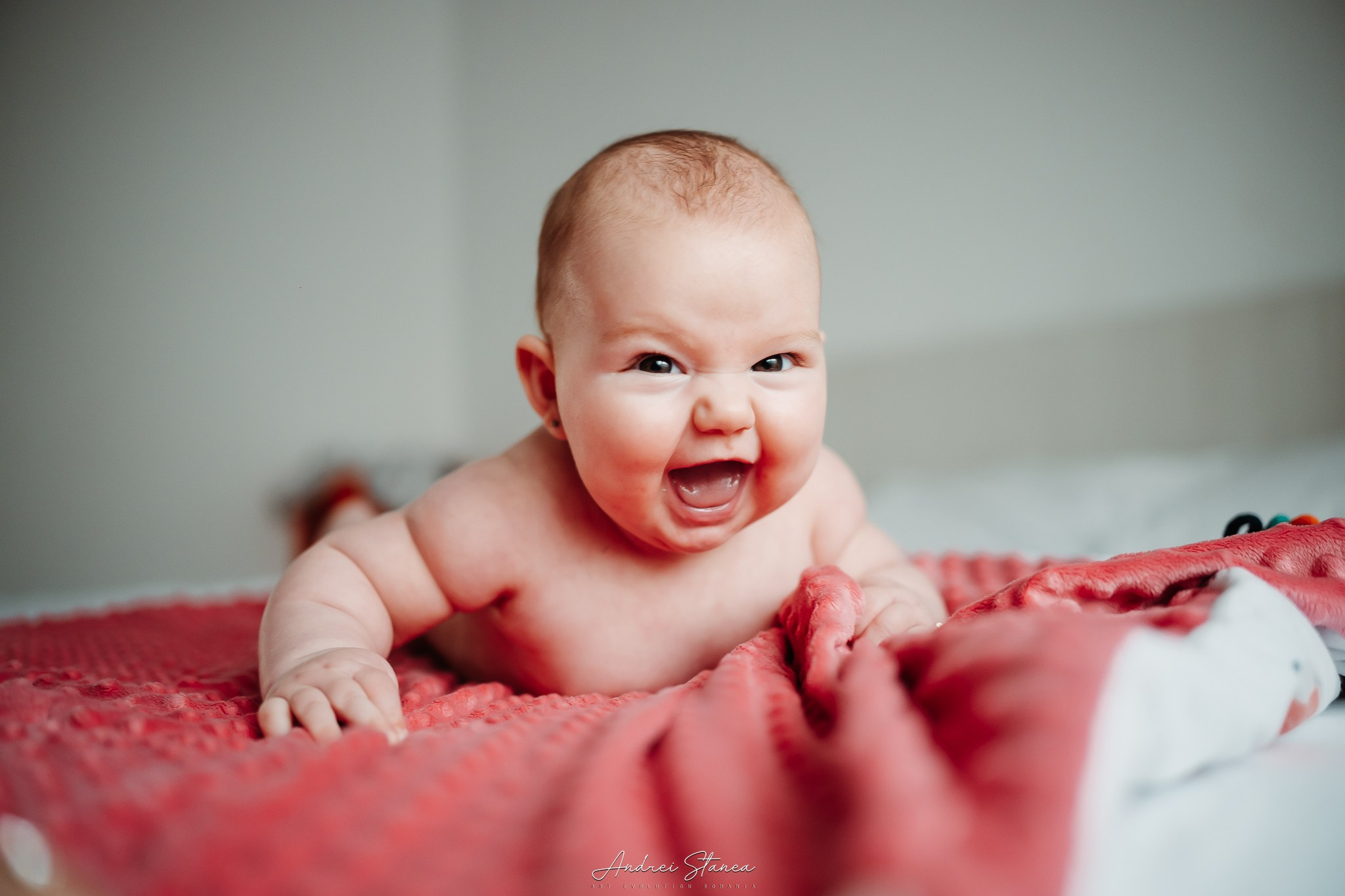 Zenayda. Andrei Stanea