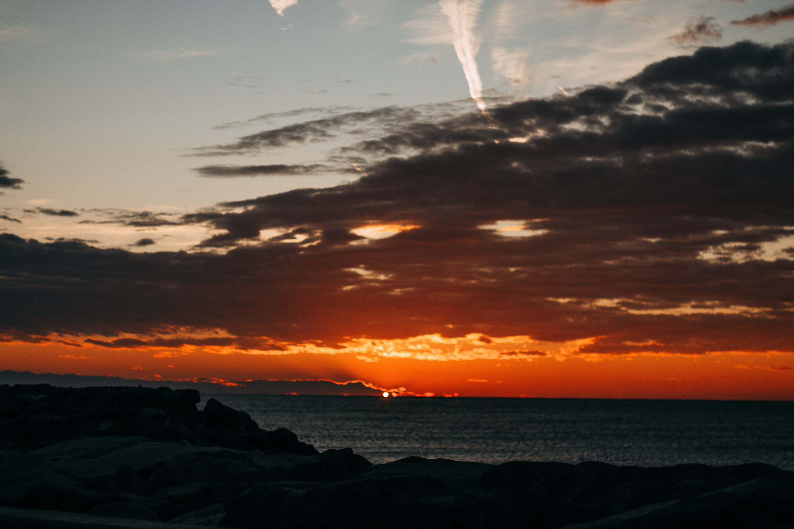 Саша. Wedding and portrait photographer in Beograd Ekaterina Makedonskaya