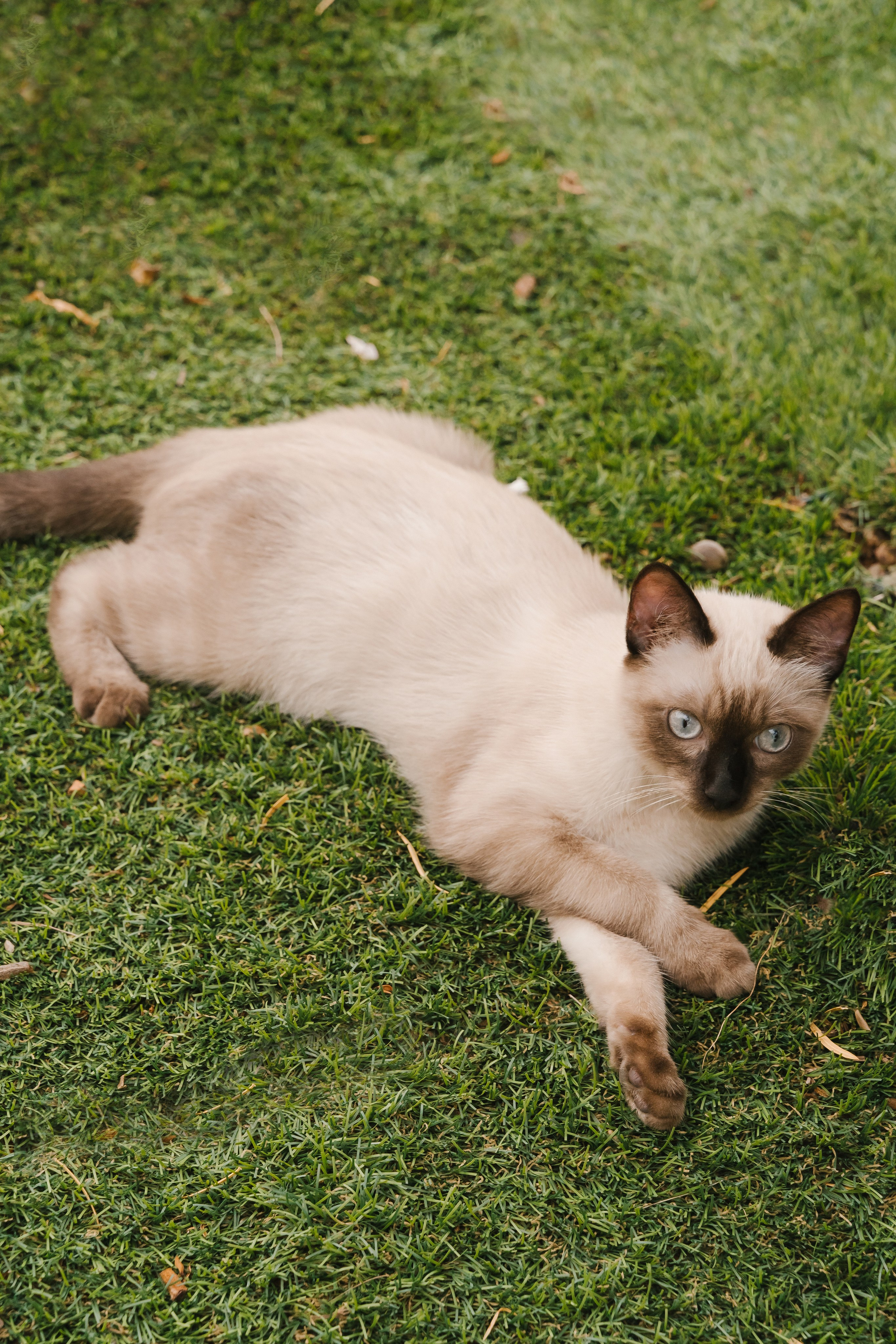 J+C. Fotógrafa de bodas y familias en España, Valencia: Nadia ProFoto