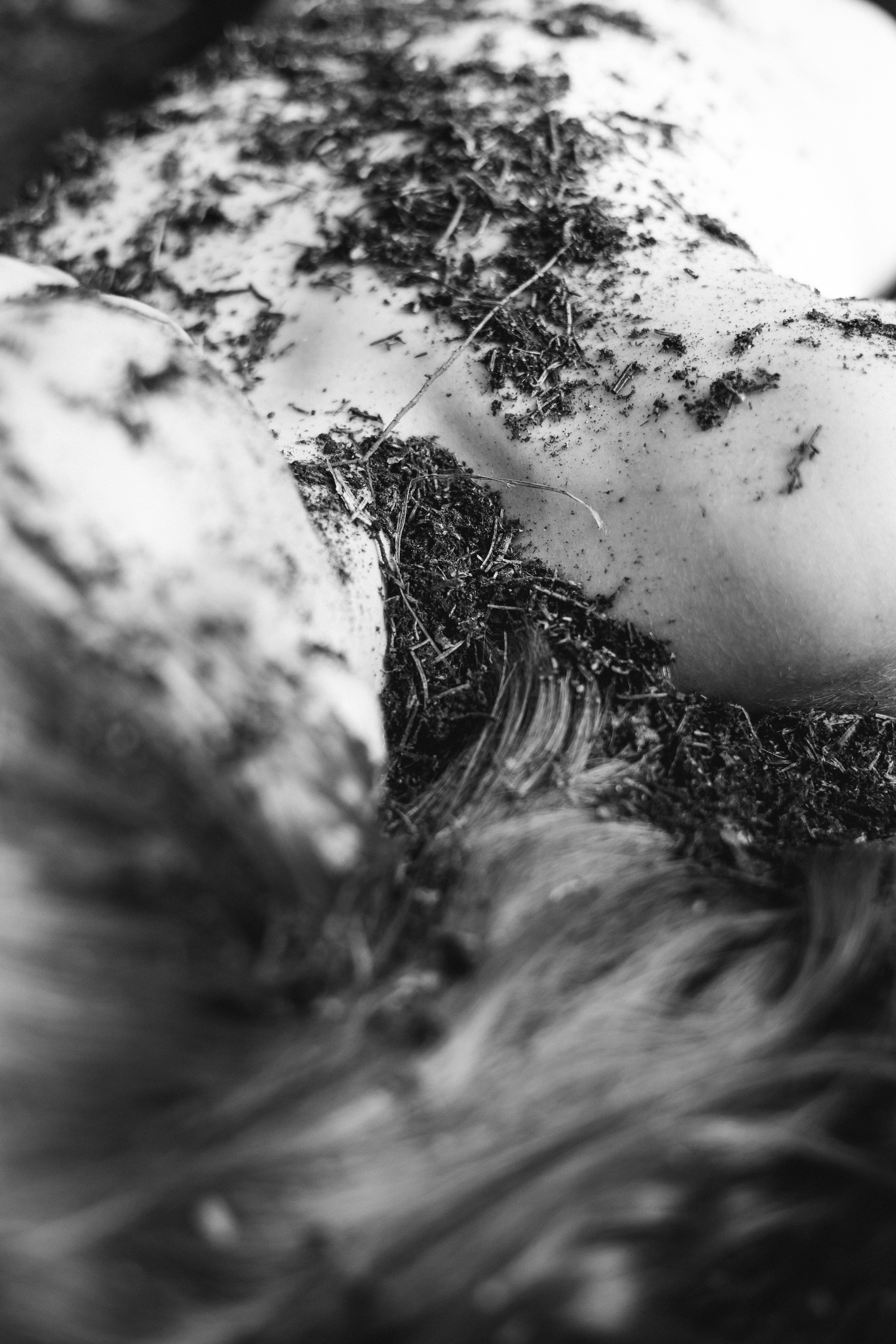 Lisa. Reflection on the war. Fotografin Marina Kravchuk