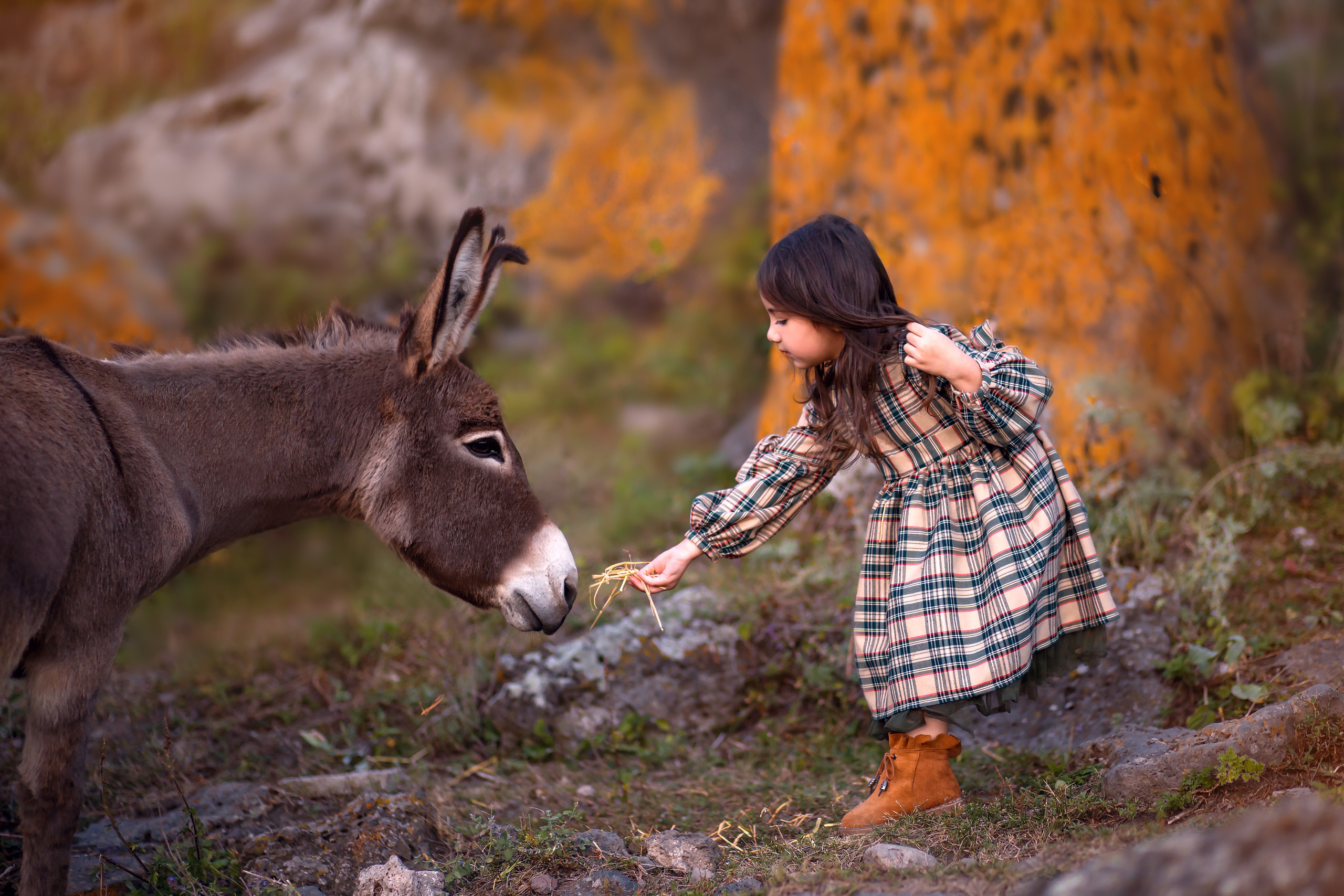 Дети. Детский и семейный фотограф Армения, Грузия