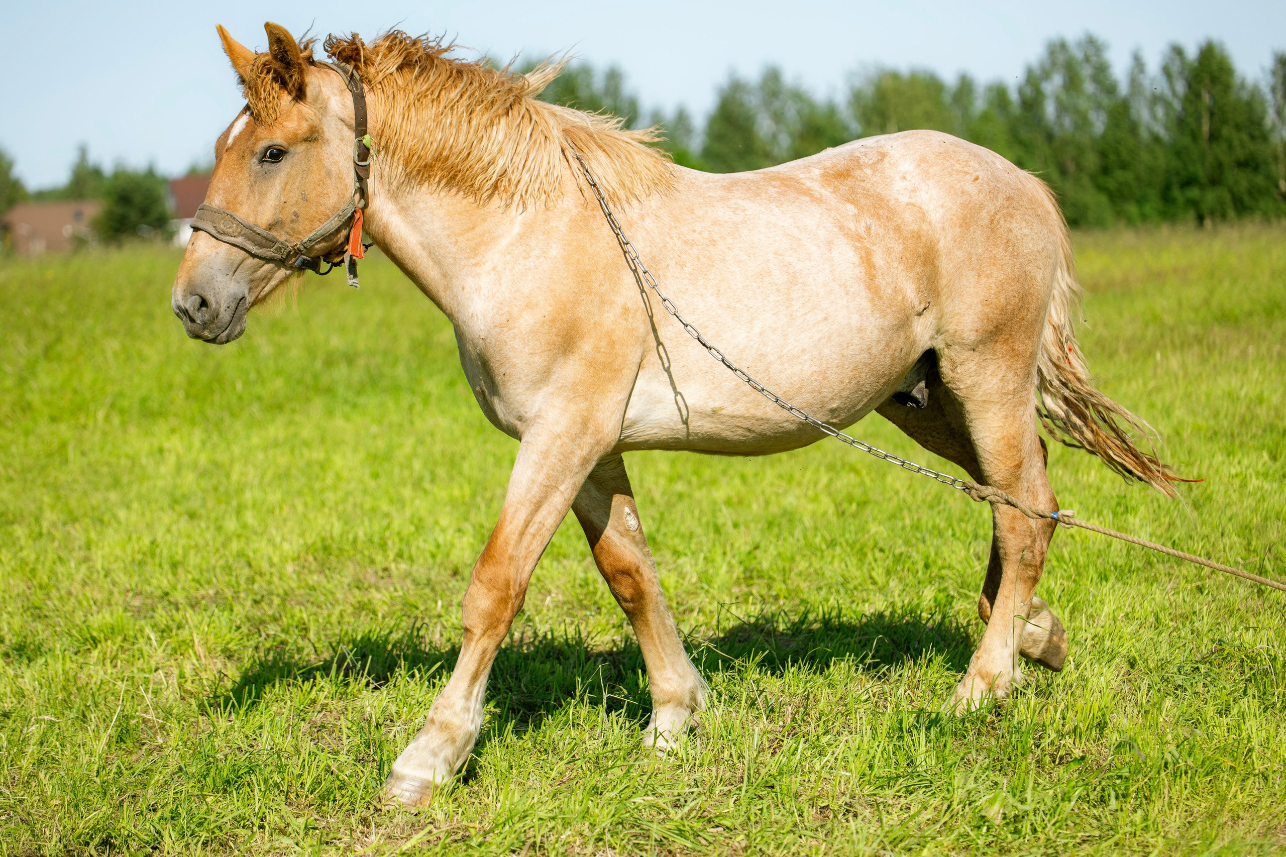 Maria and Olga. Samid Ali Visual Artist