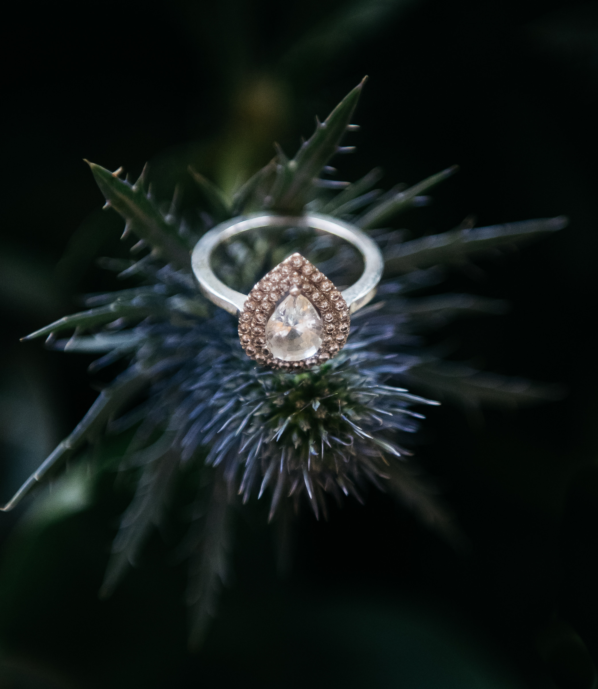 S & G, villa Wirnica. Фотограф в Итлаии — Свадебный фотограф Озеро Комо