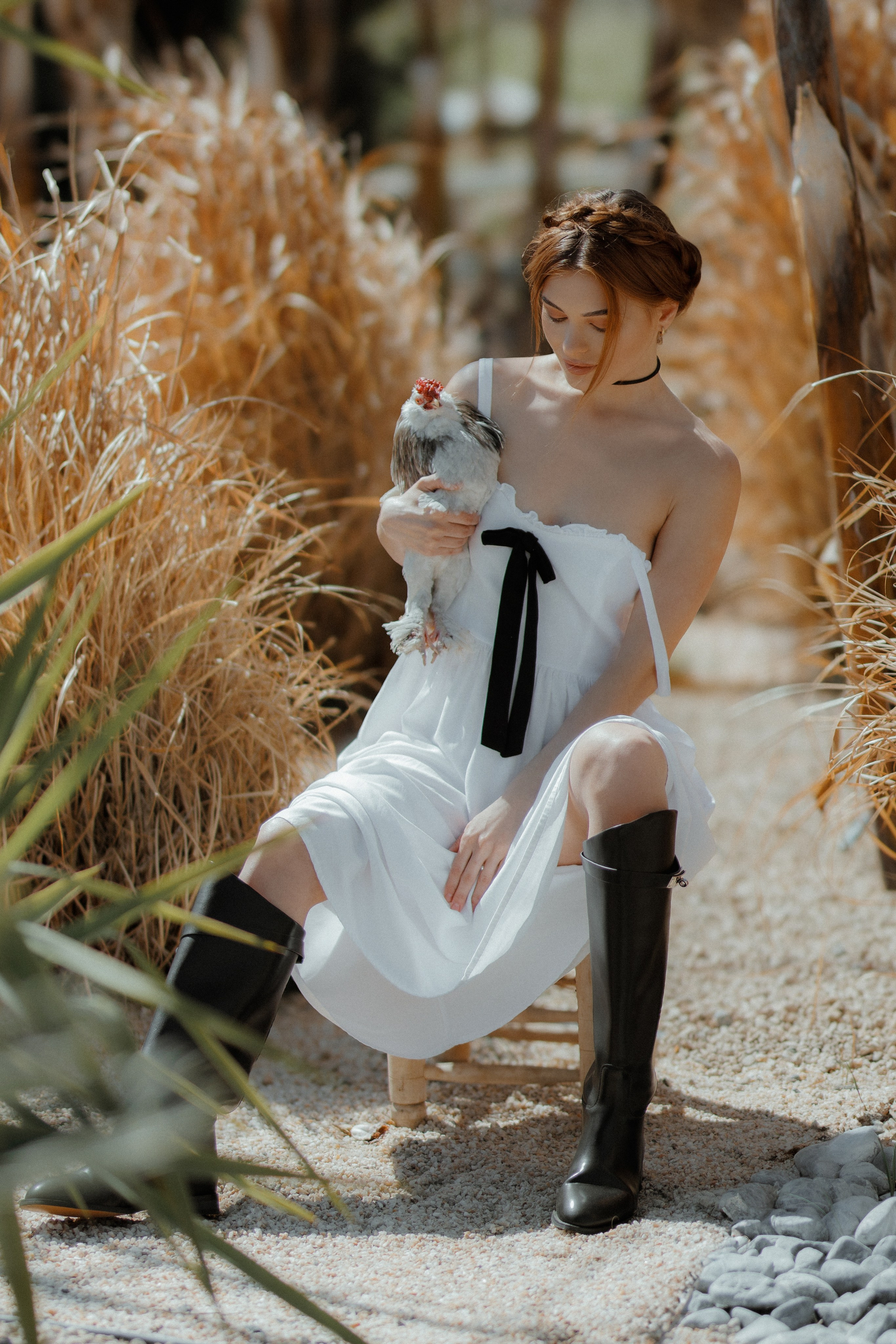 Фотосессия с курицей. Фотограф в Турции | Алания, Сиде, Белек, Анталия, Кемер)