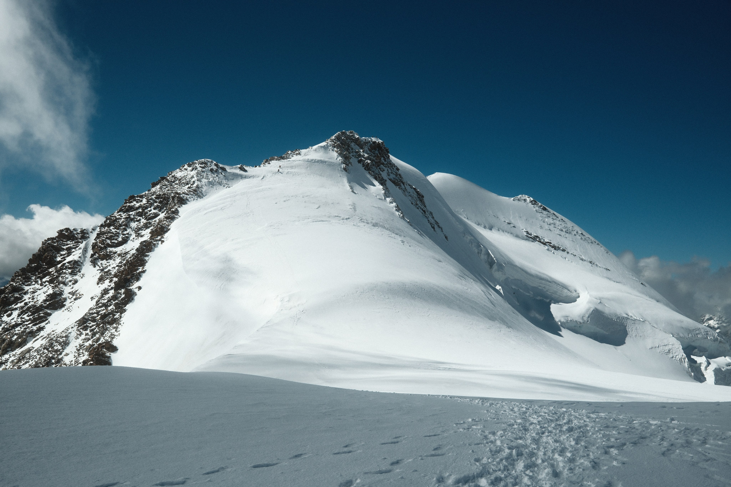 Castor. Patricia Morenci — Mountain Adventures for the Wild at Heart