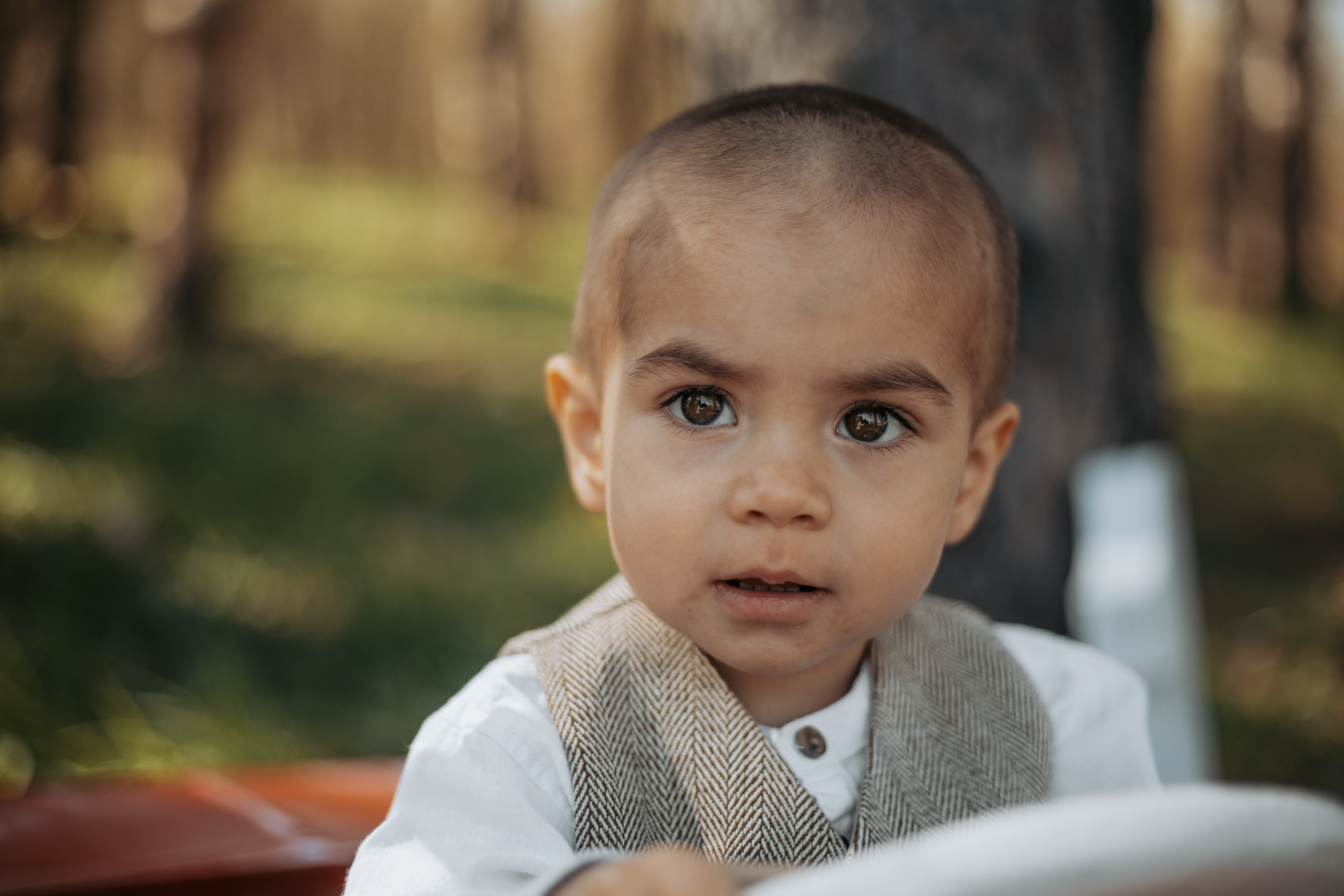 Smash Cake Photography. Family and Wedding Photographer