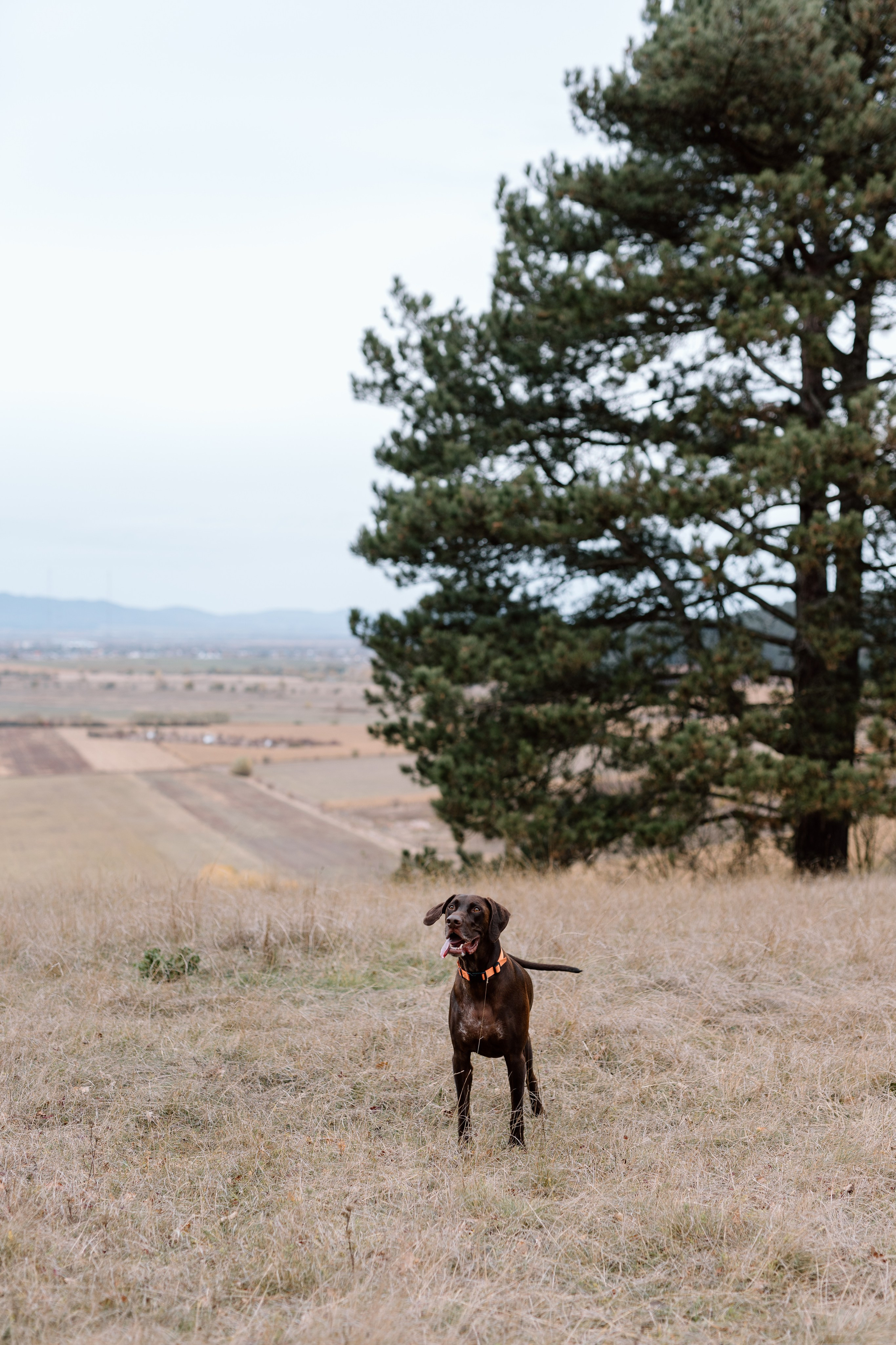 Iosana & Grisha. Main