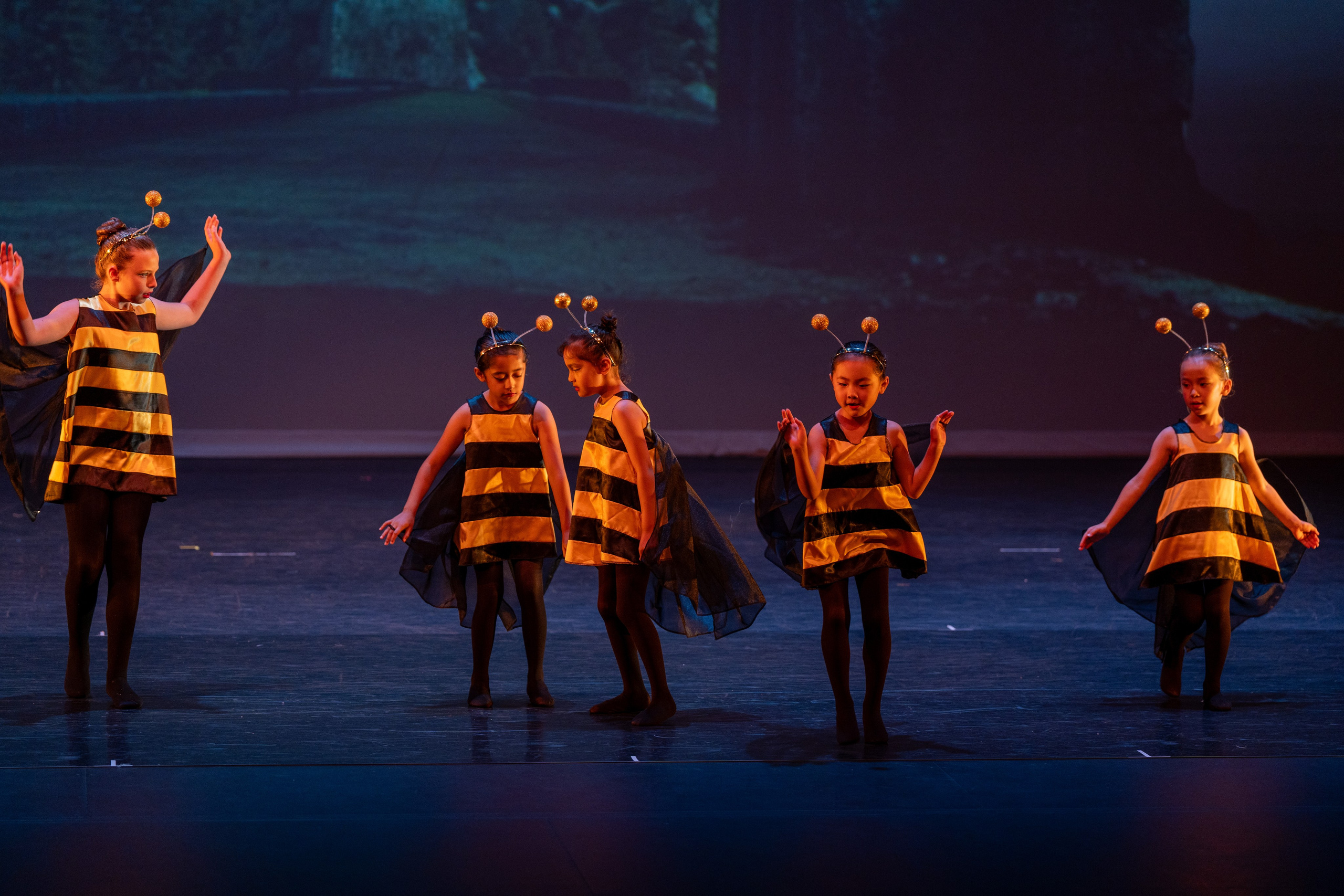 Ballet Photographer Los Angeles. Santa Clarita Photographer