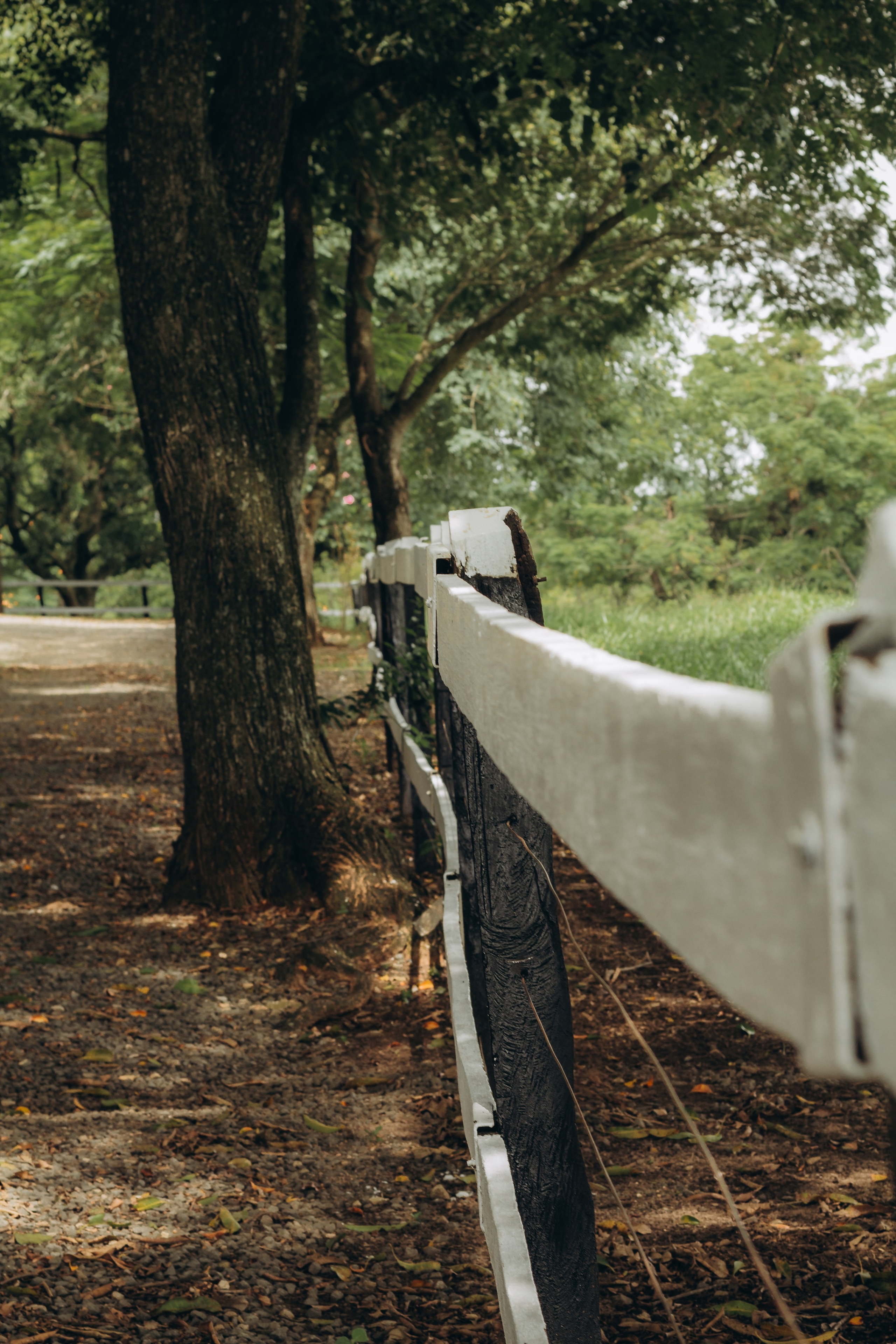 Retrato — Victor Hugo. Fotógrafo de Casamentos, Eventos e Ensaios em Ribeirão Preto e região — Thiago Saletti