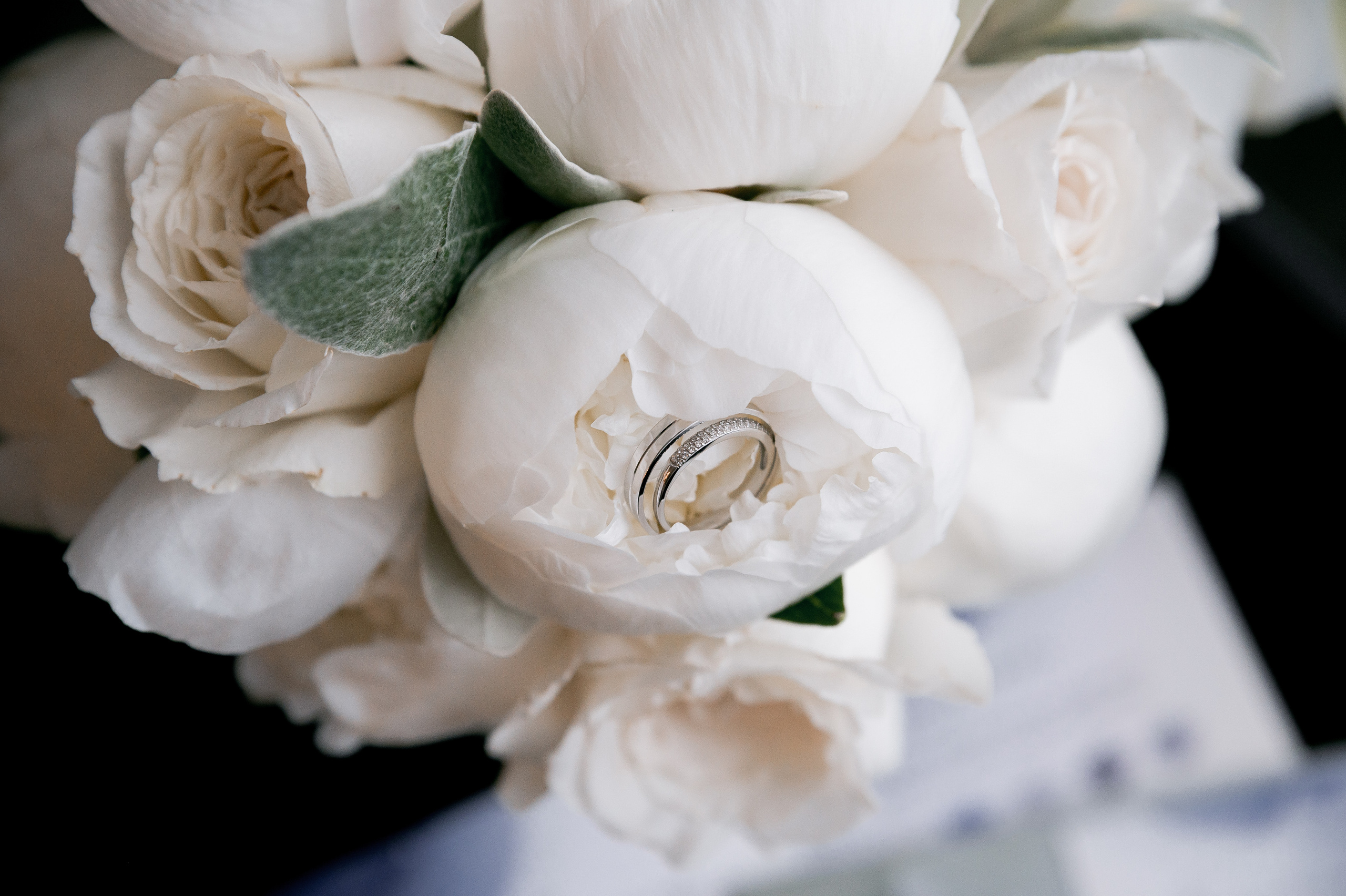 Александр и Анастасия. Свадебный и семейный фотограф Екатерина Шестакова