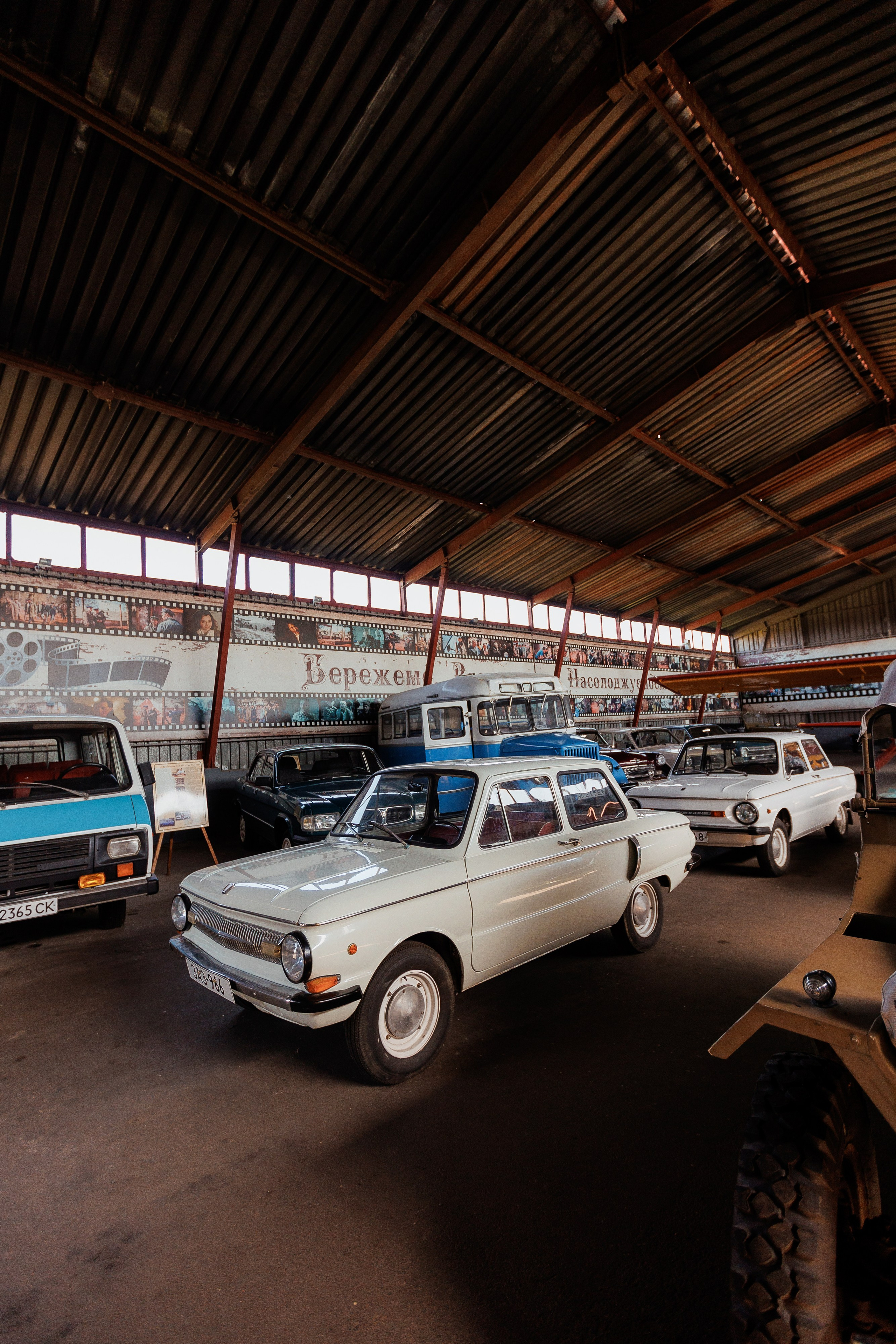 Екопарк Аміла. Ірина Терещук