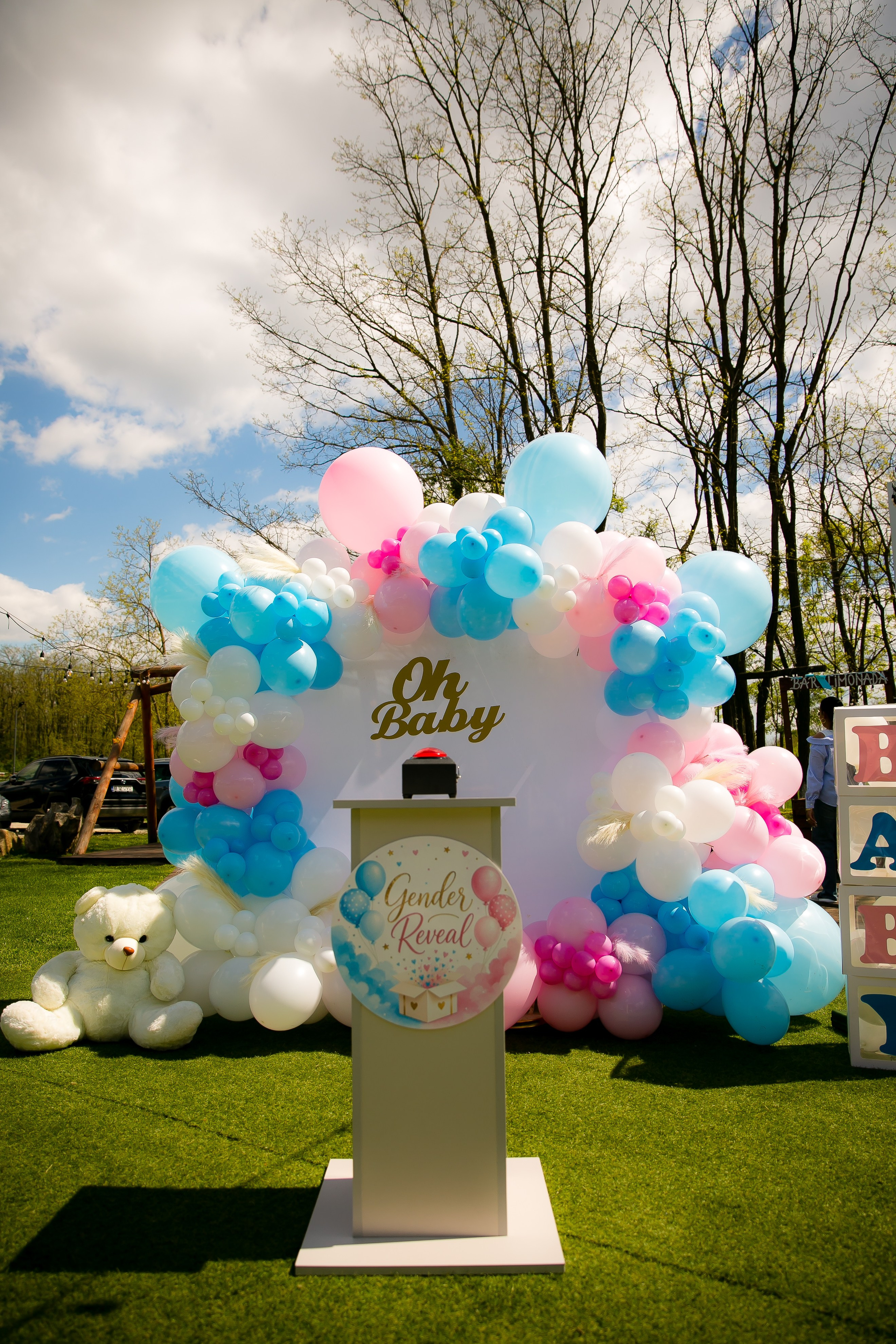 C&D | Gender Reveal. DP Events — echipă foto-video din București, capturăm emoții și transformăm momentele în amintiri autentice