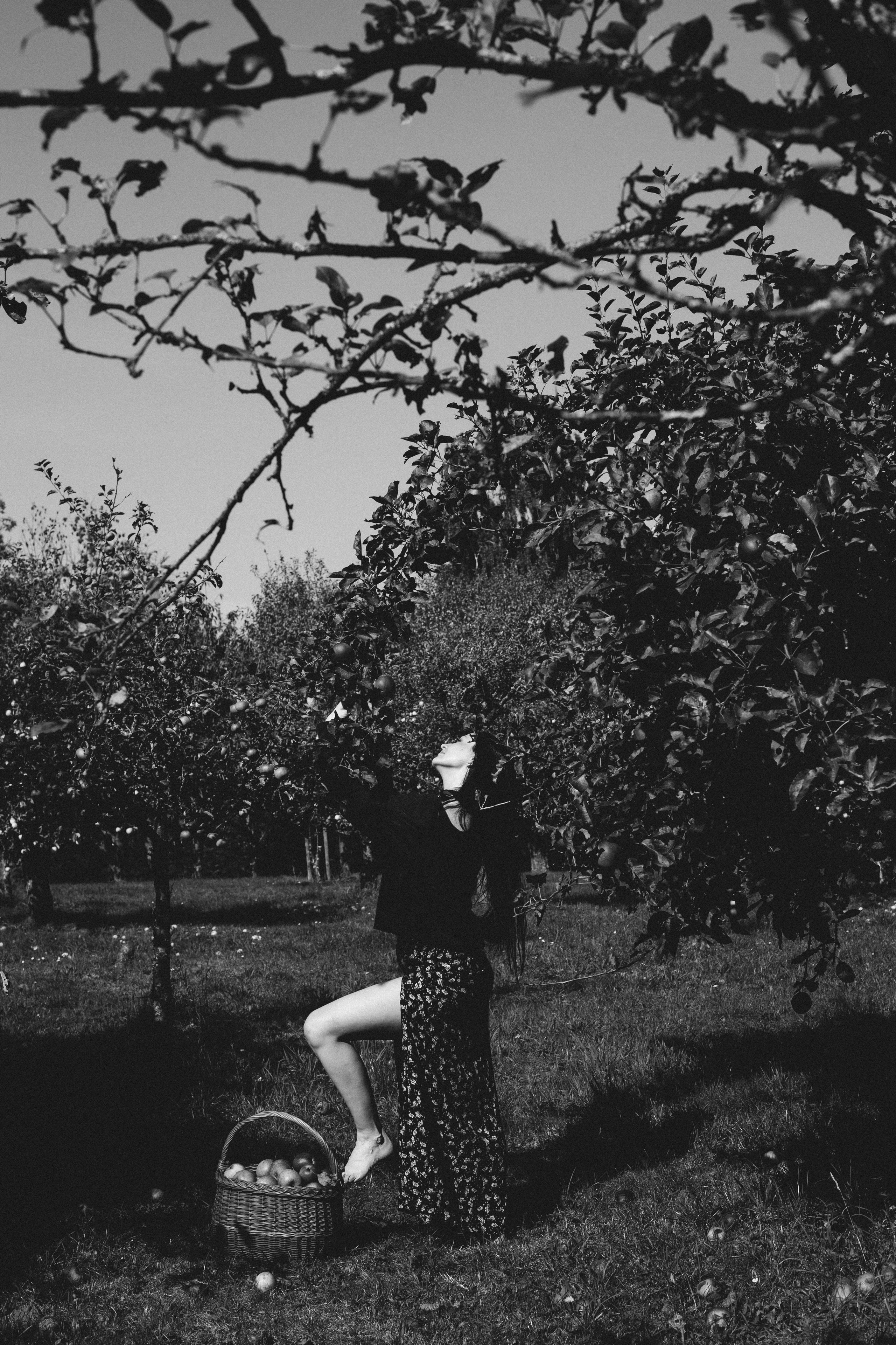 In Garten. PHOTOgrapher Germany MARBURG