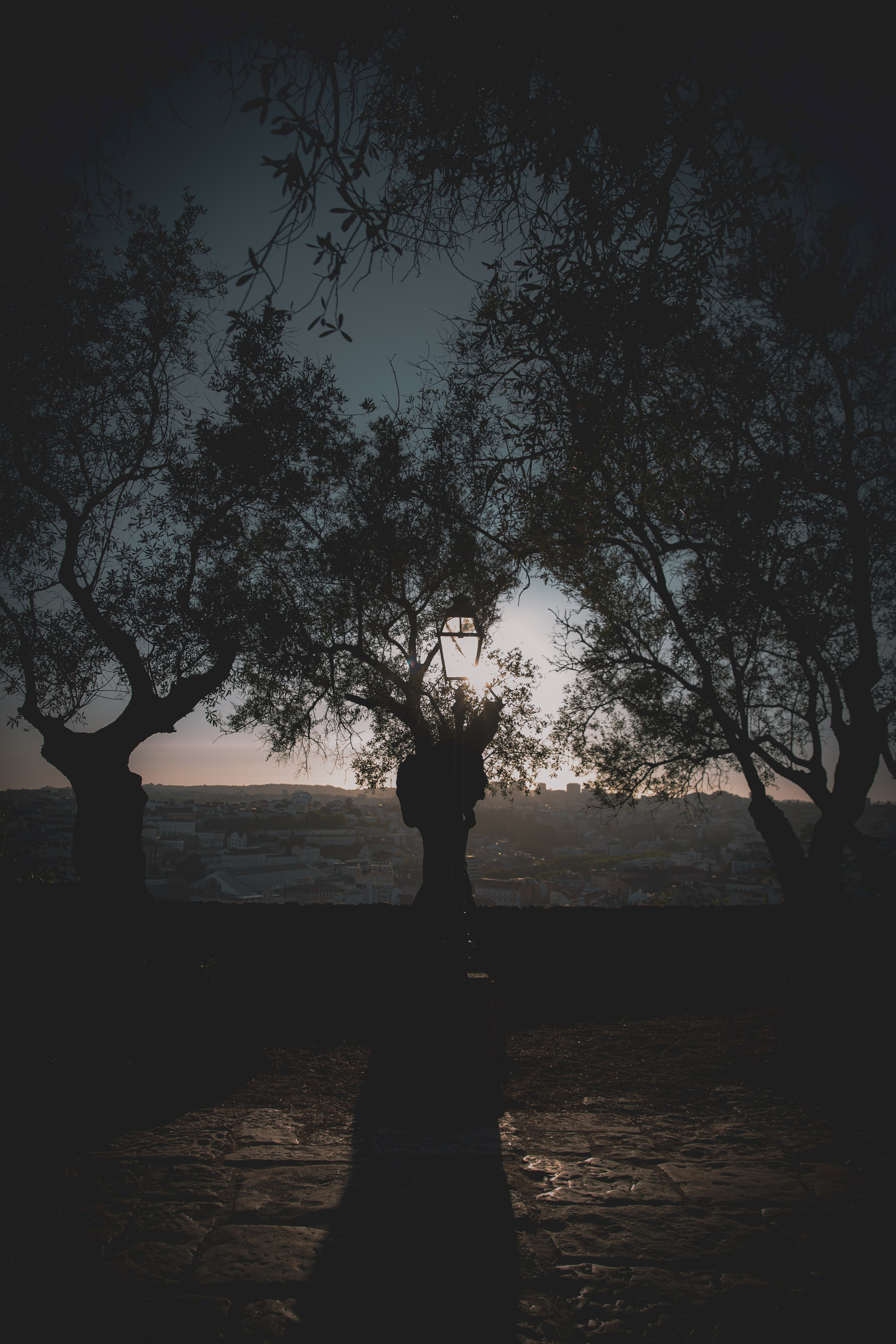 Paisagens. Thiago Chinellato