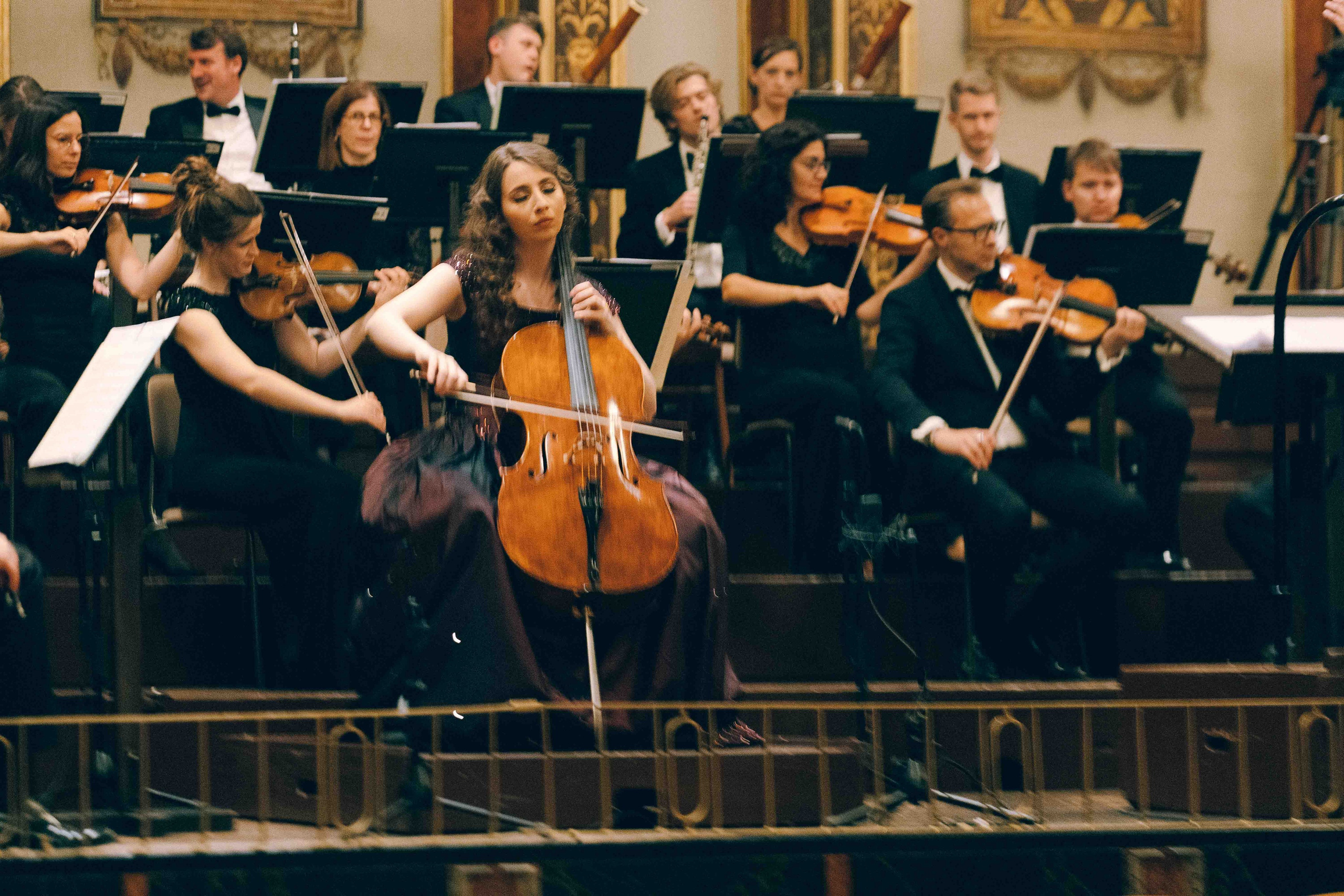MUSIKVEREIN (VIENNA). Wedding&Event photographer Ismail Rzayev in Baku