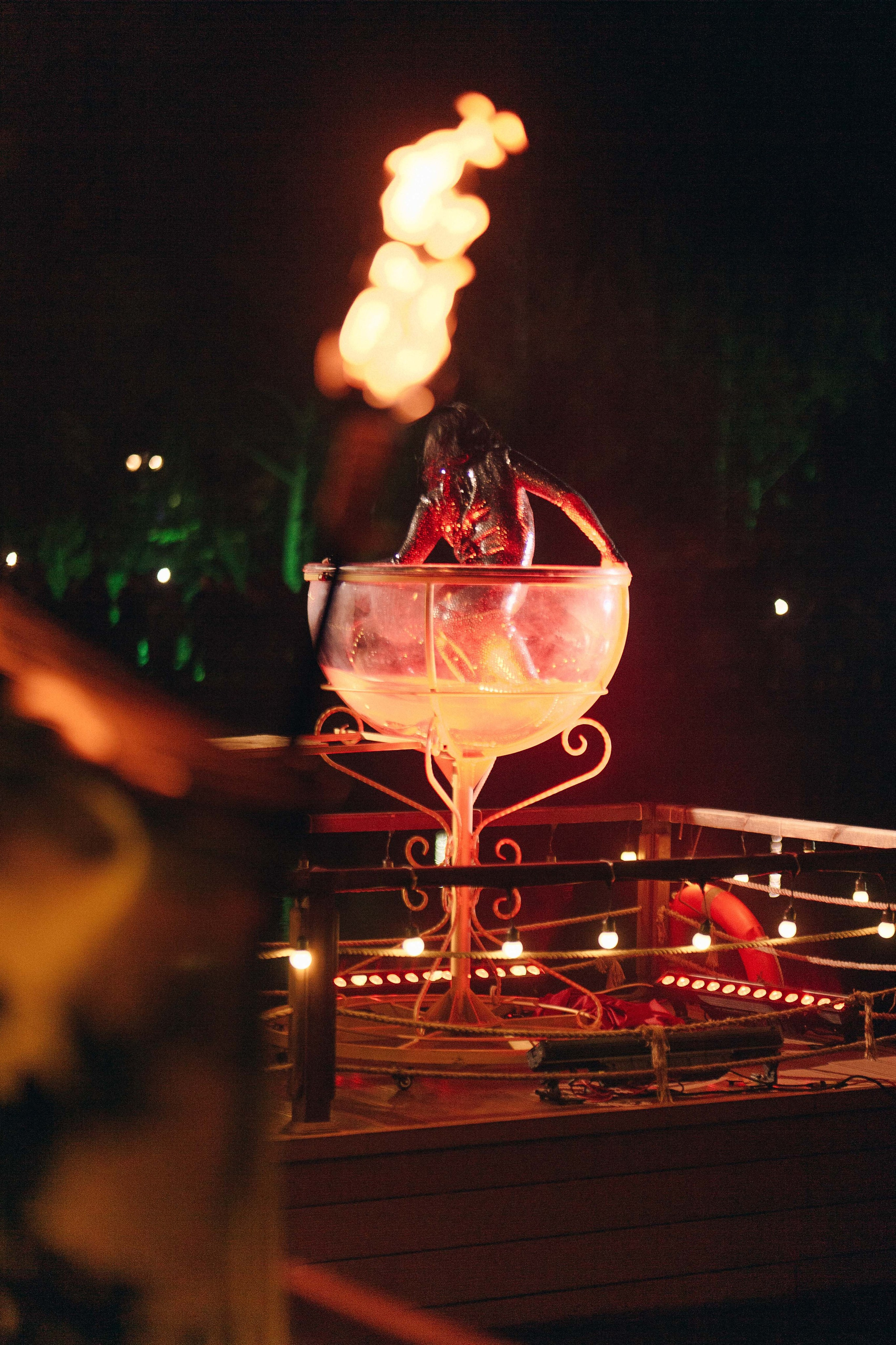 MEYSARI WINE FESTIVAL. Wedding&Event photographer Ismail Rzayev in Baku