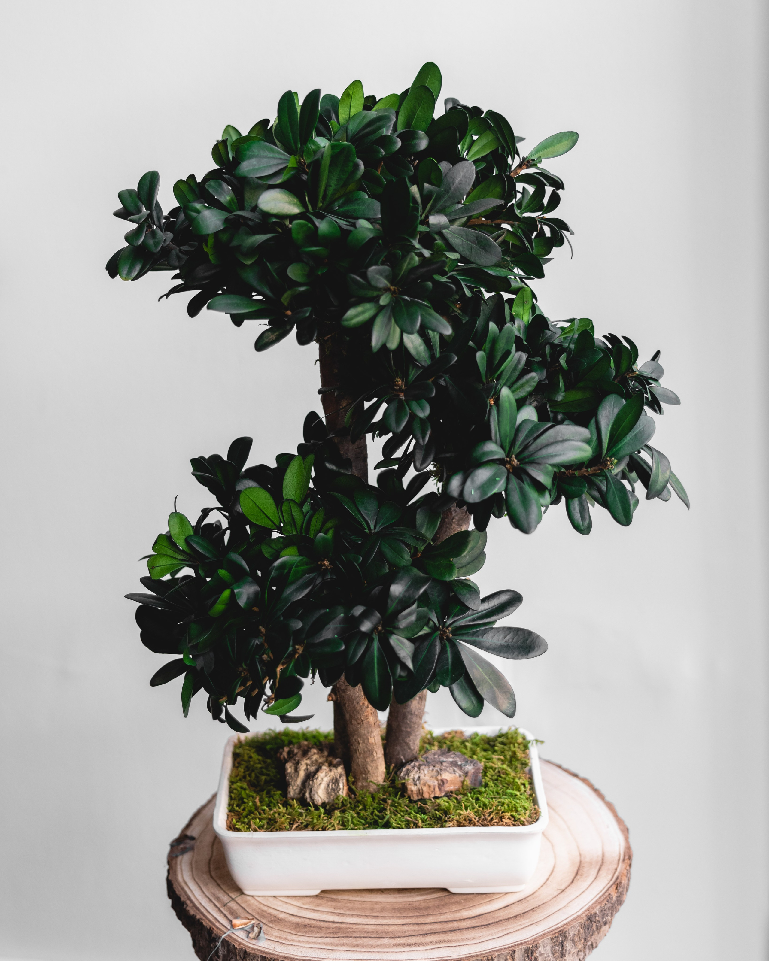 Wow blomster. Professional wedding photographer in Copenhagen, Denmark — Julia Byron