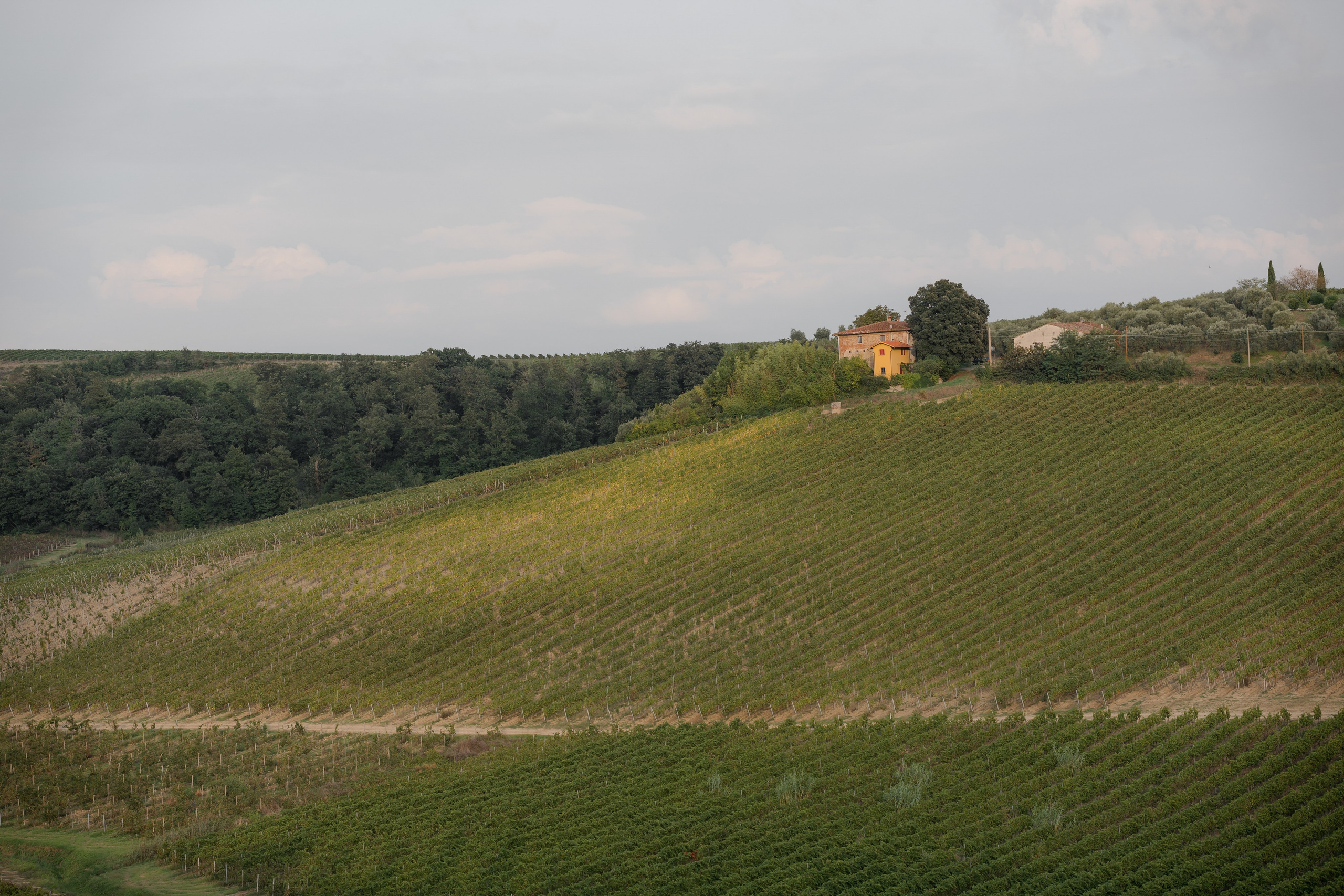 Dom&Ally. Весільний фотограф Вікторія Саврук