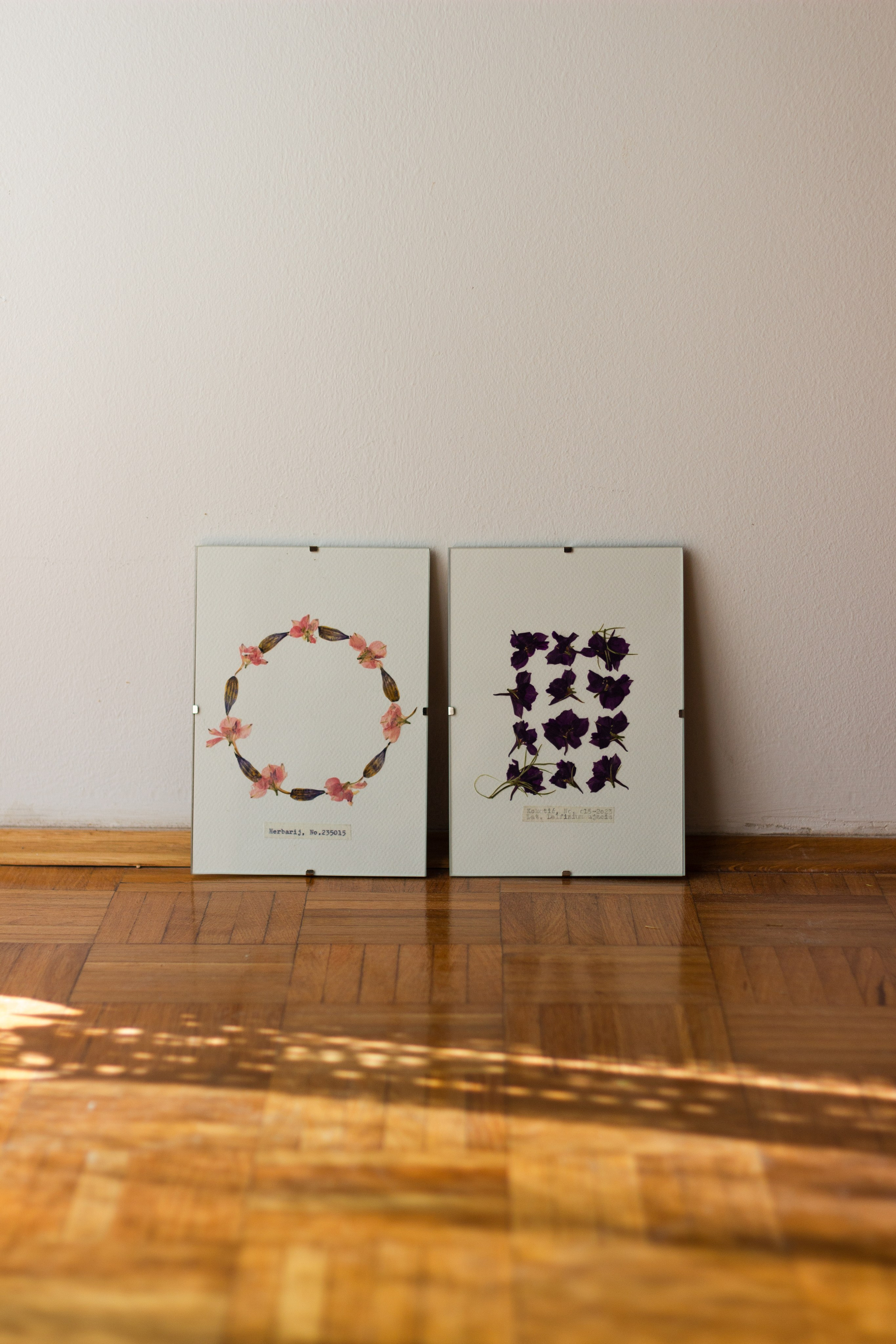 Herbarij, presa, okvir, slika, ručni rad, herbarium, art, umjetnost, home made, artistic