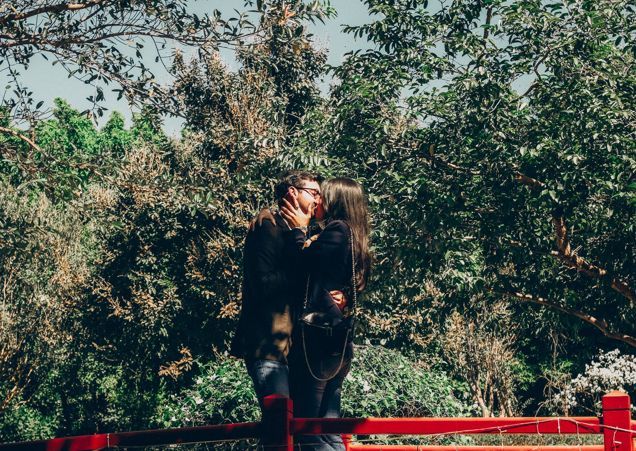 Alba & Jeronimo. Wedding and family photographer in Mexico City