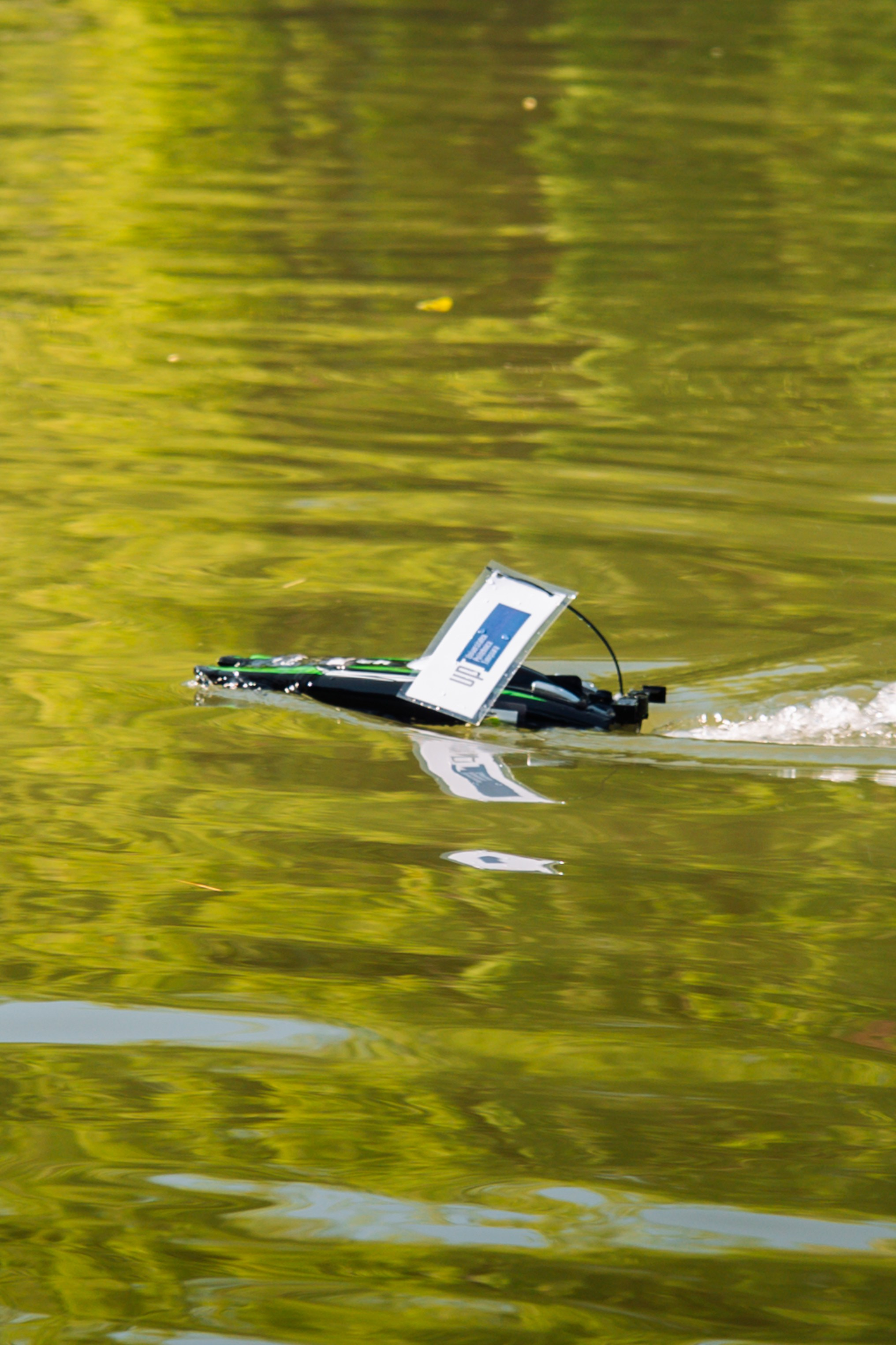 06.04 Bega Boat Race. Cozac Cristian Photographer