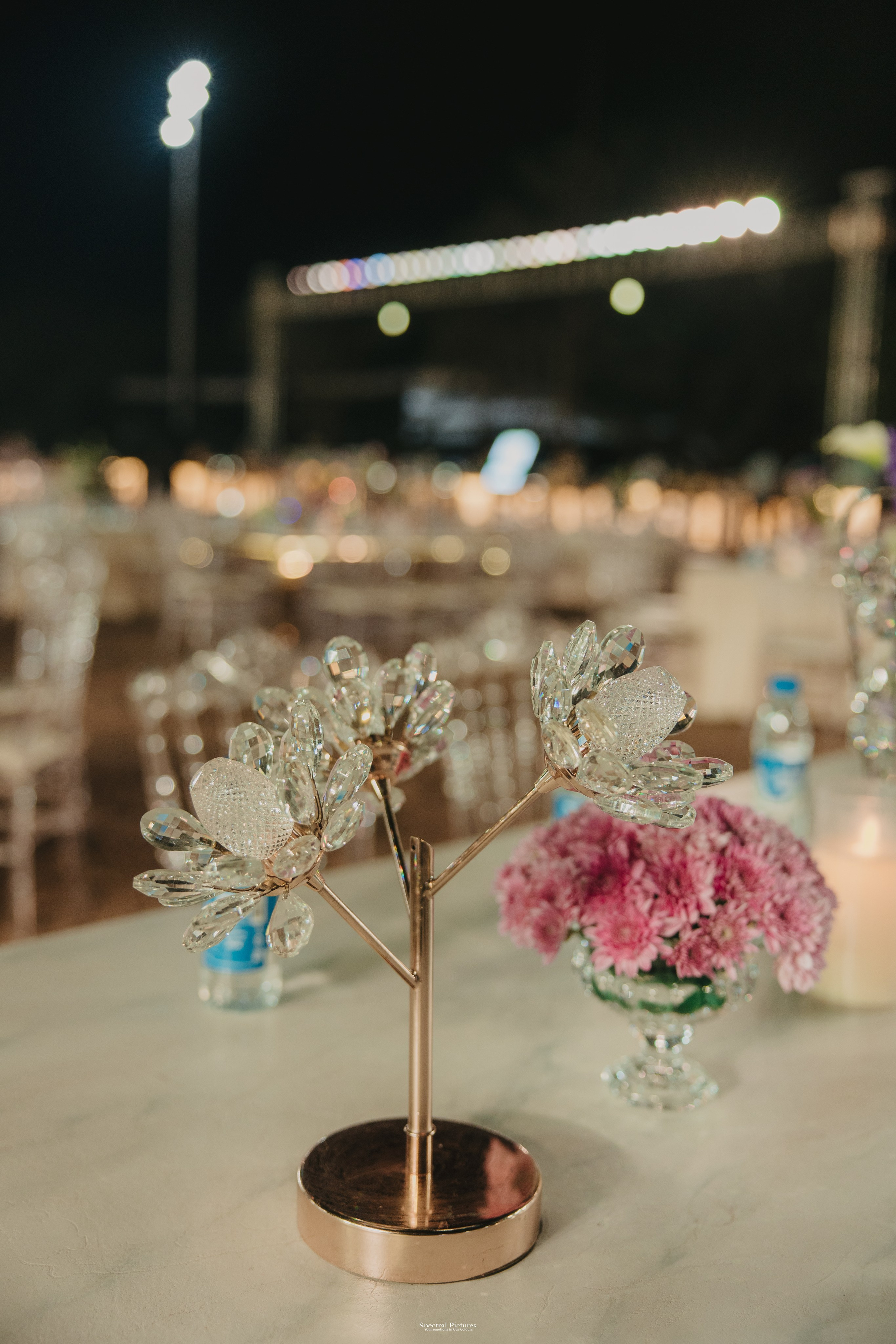 Partha & Aakansha | The Grand Reception Tale